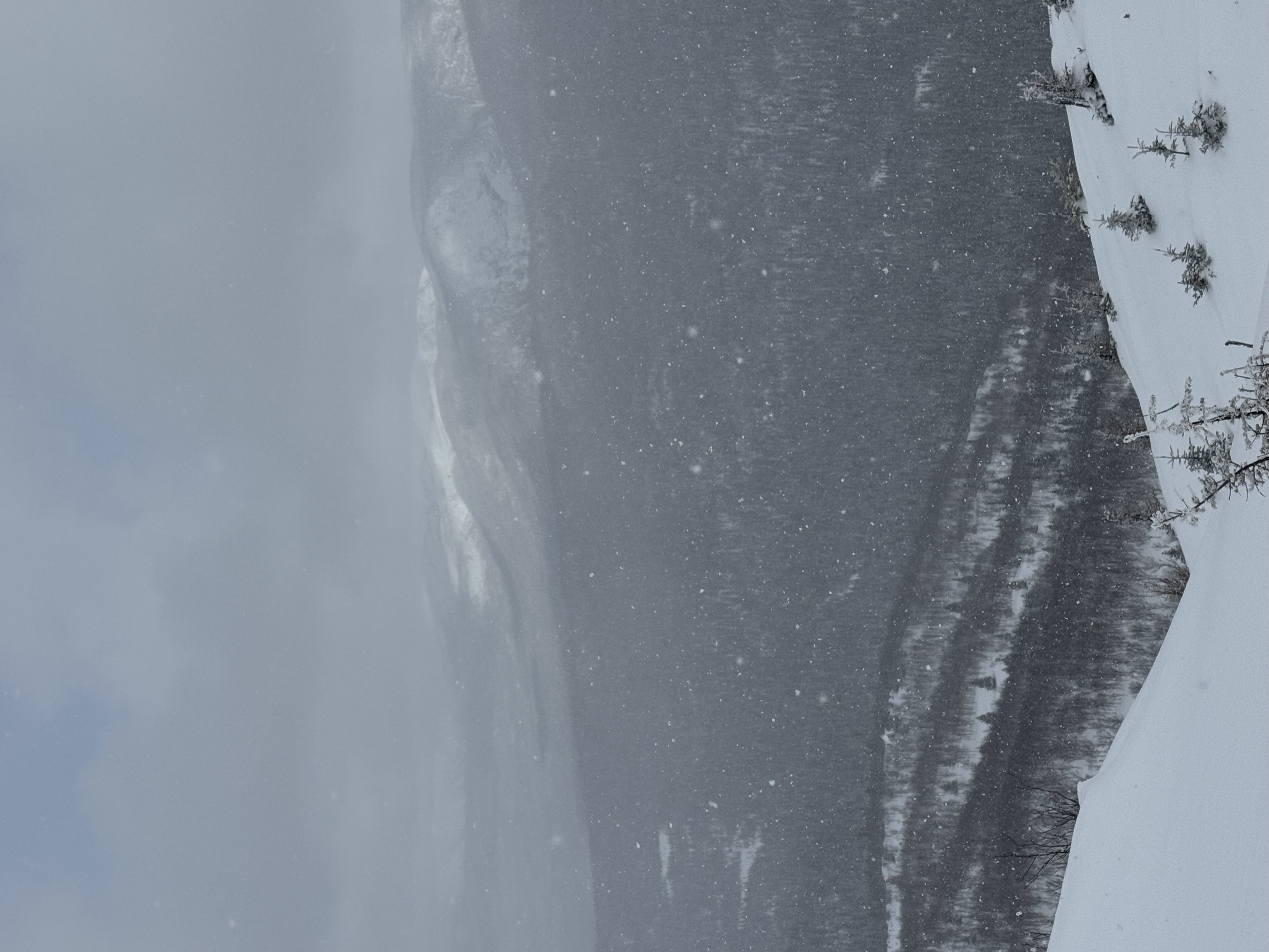 Observation photo