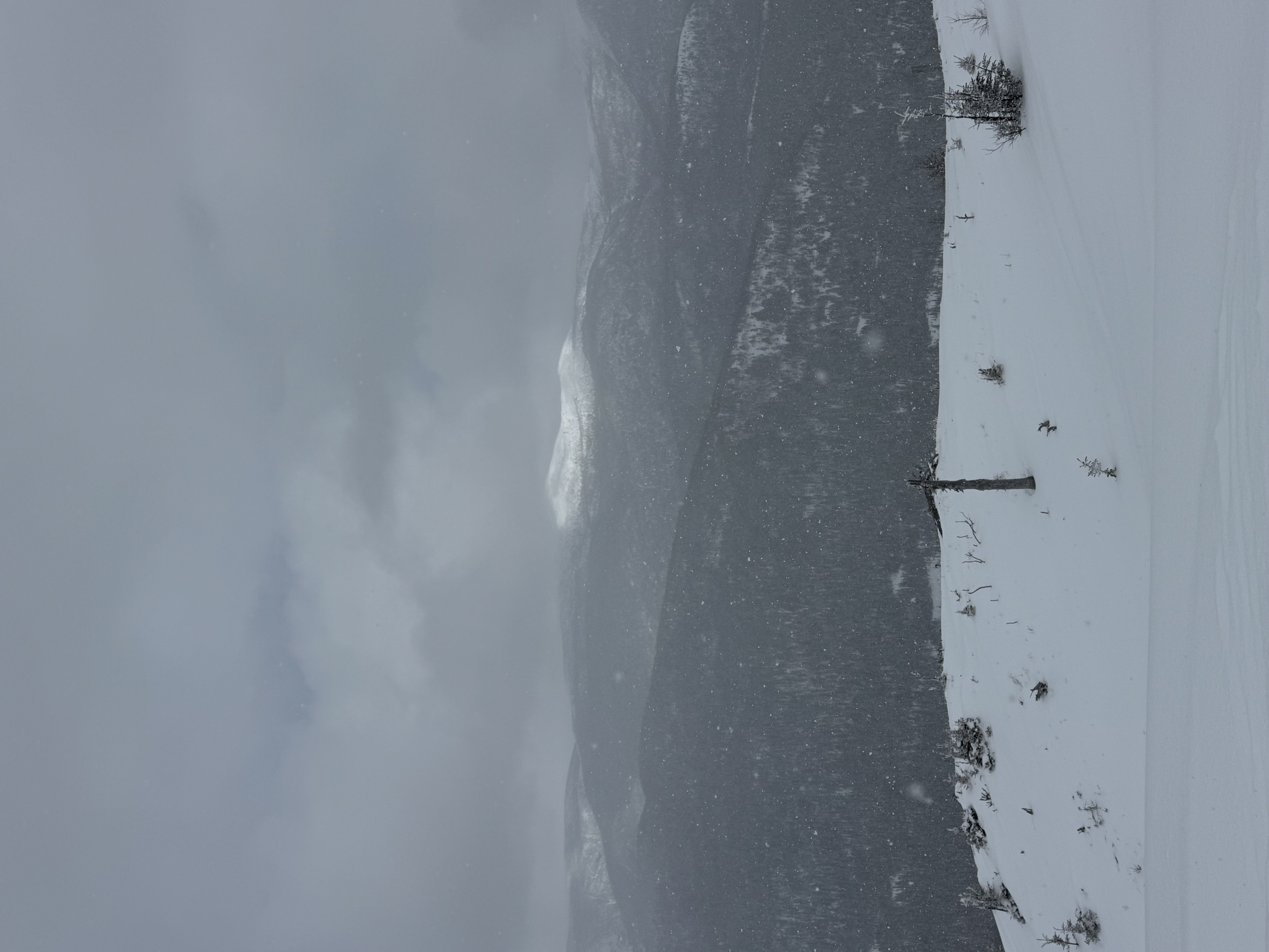 Observation photo