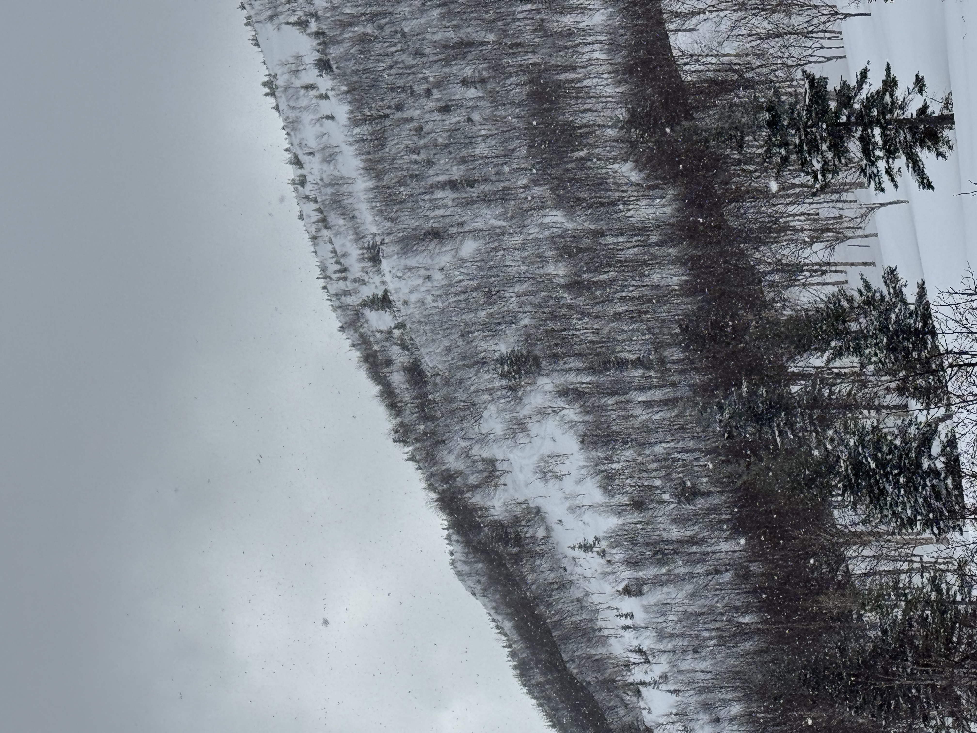 Observation photo
