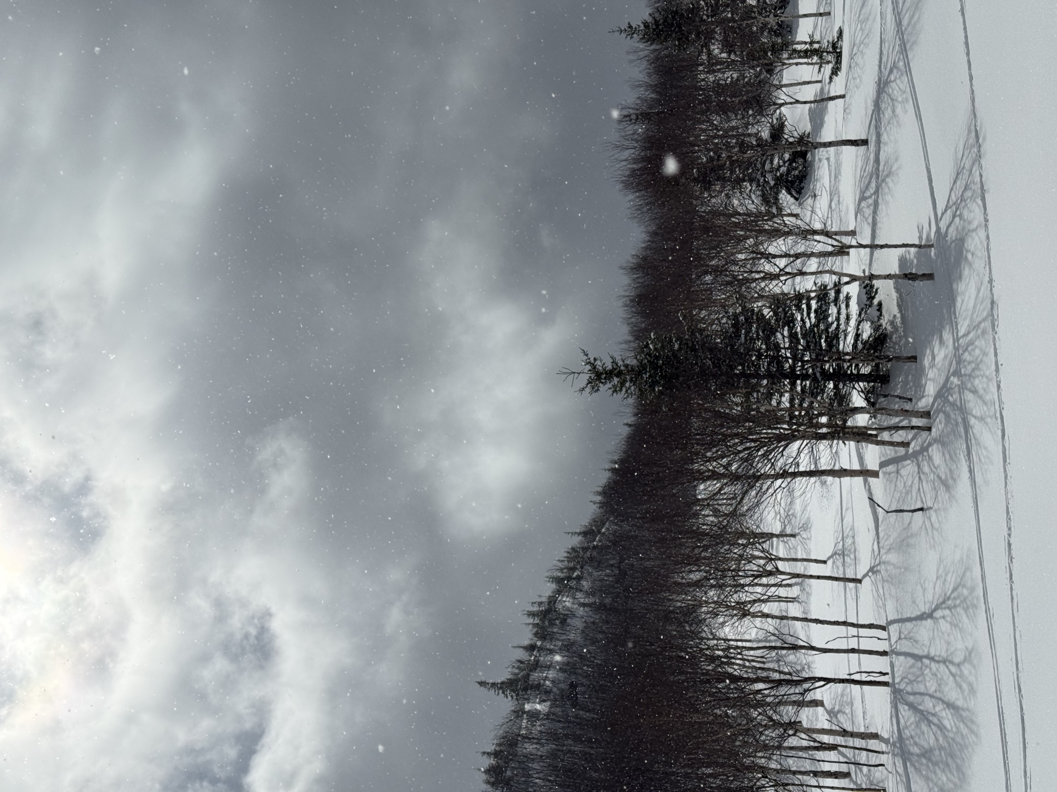 Observation photo