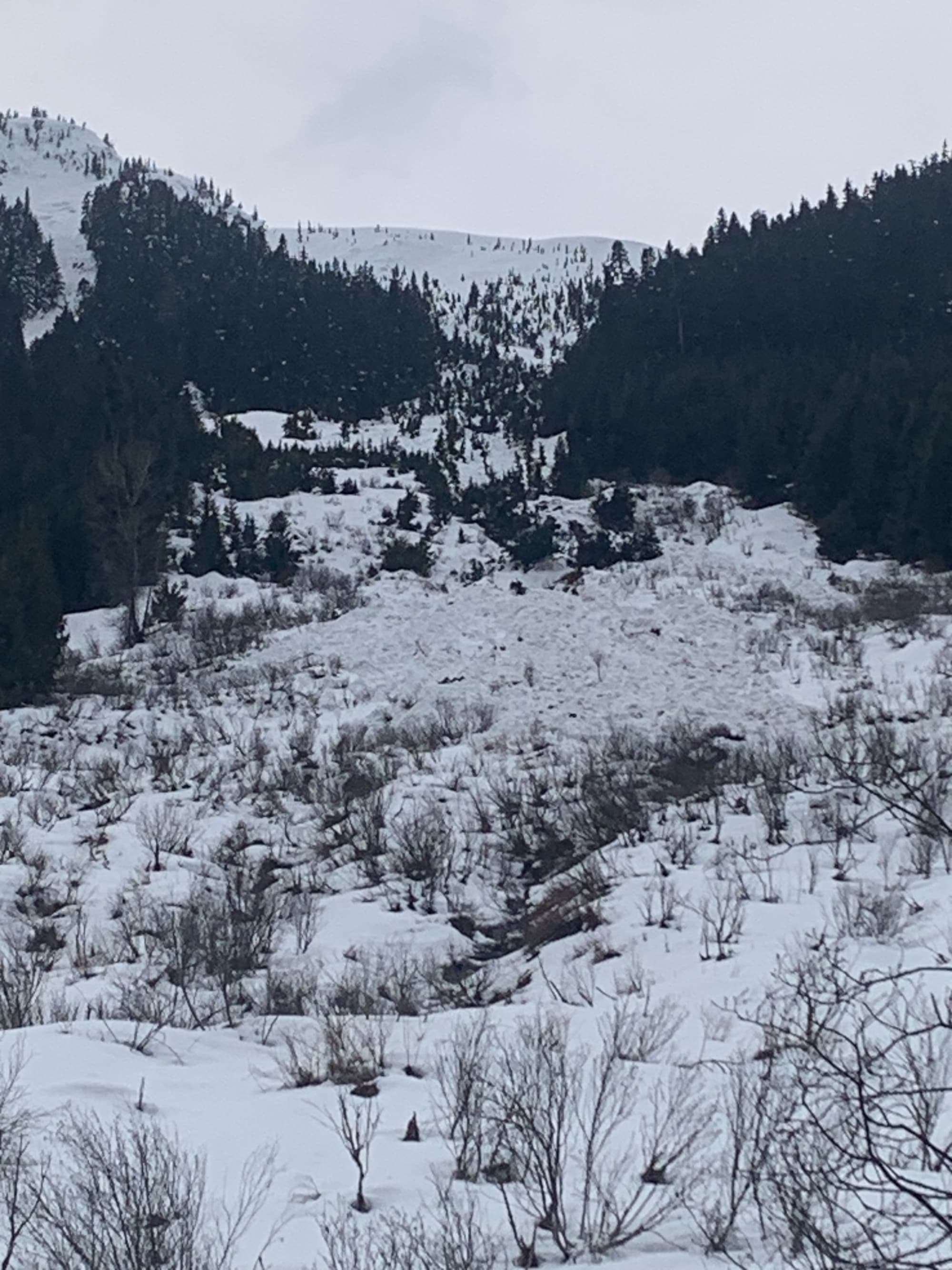 Observation photo