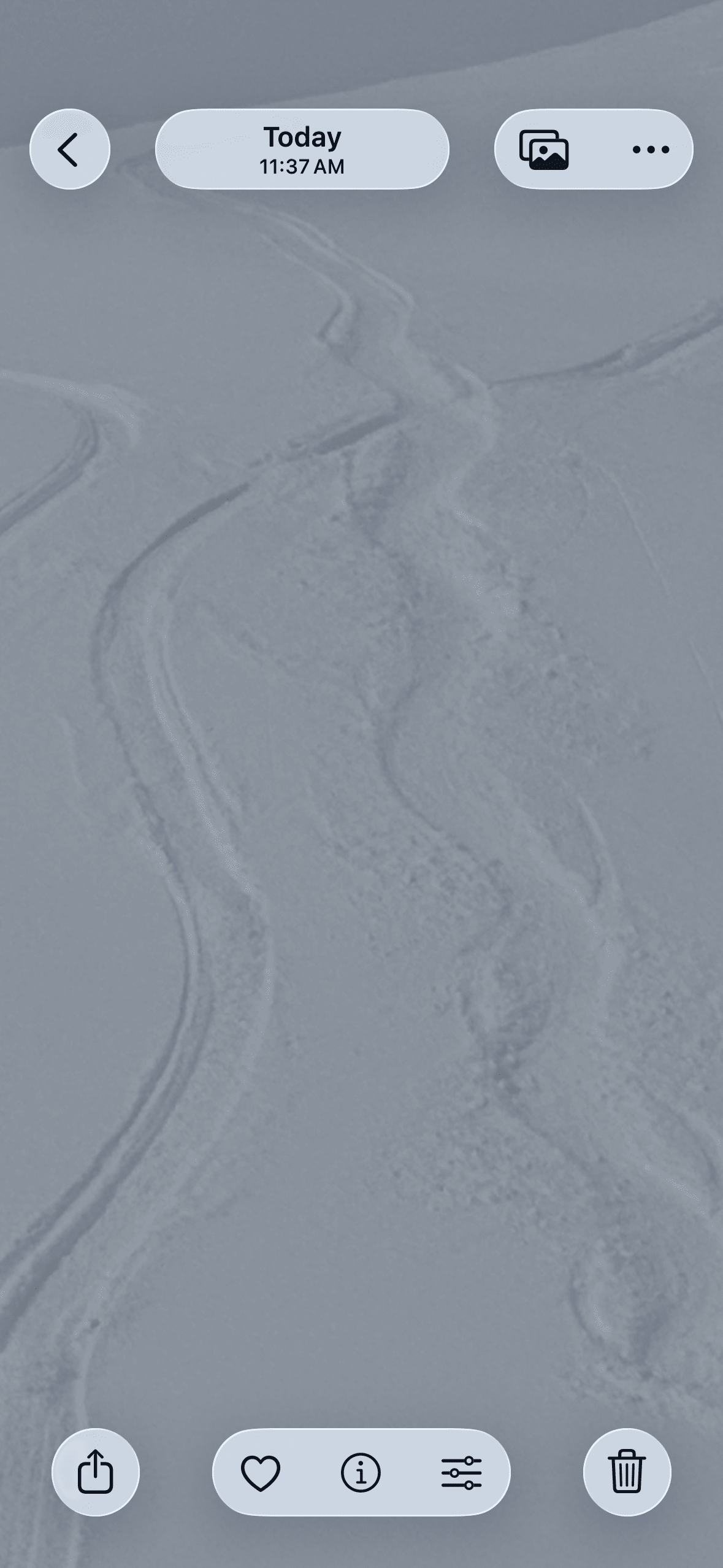 Observation photo