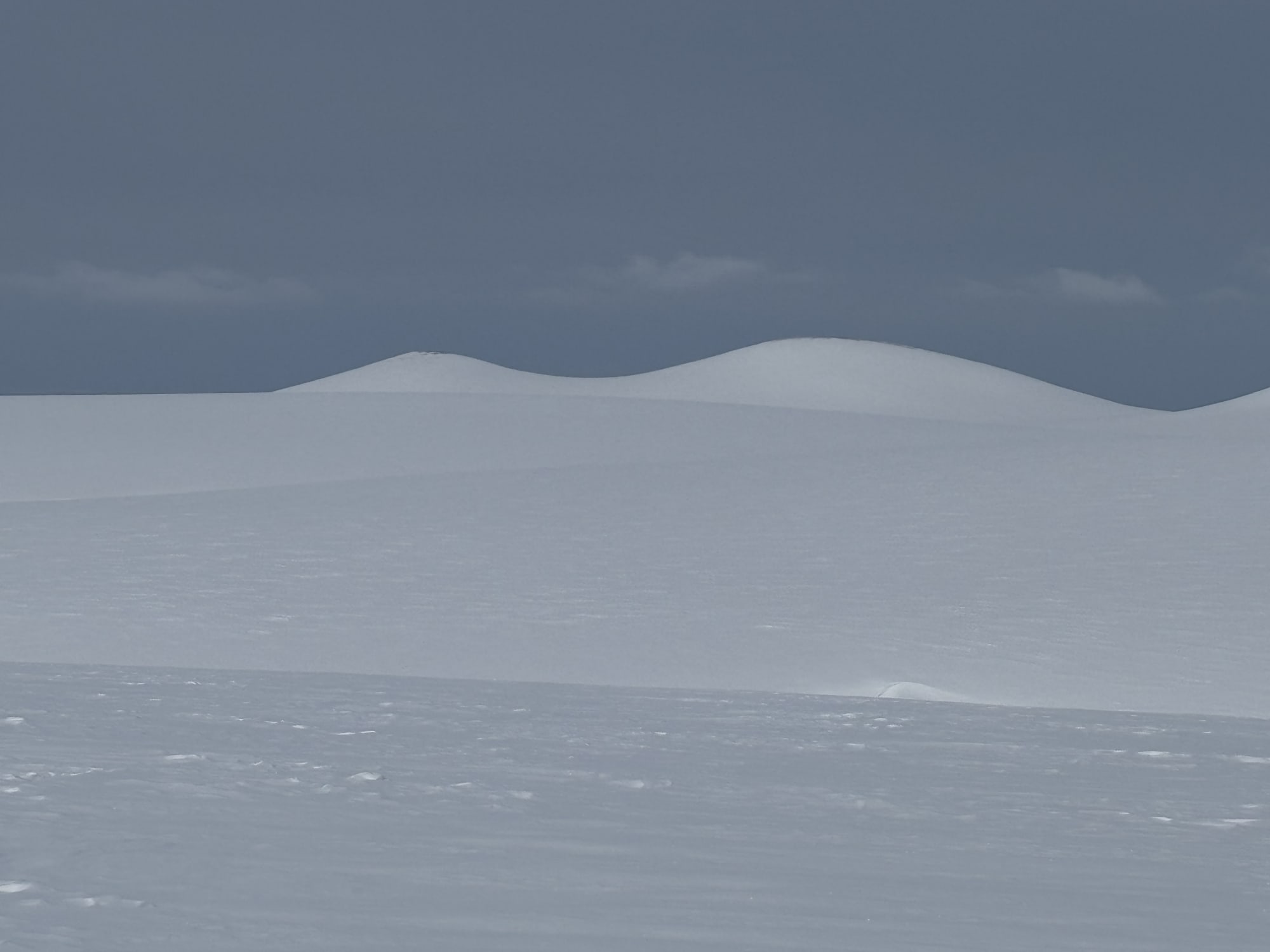 Observation photo