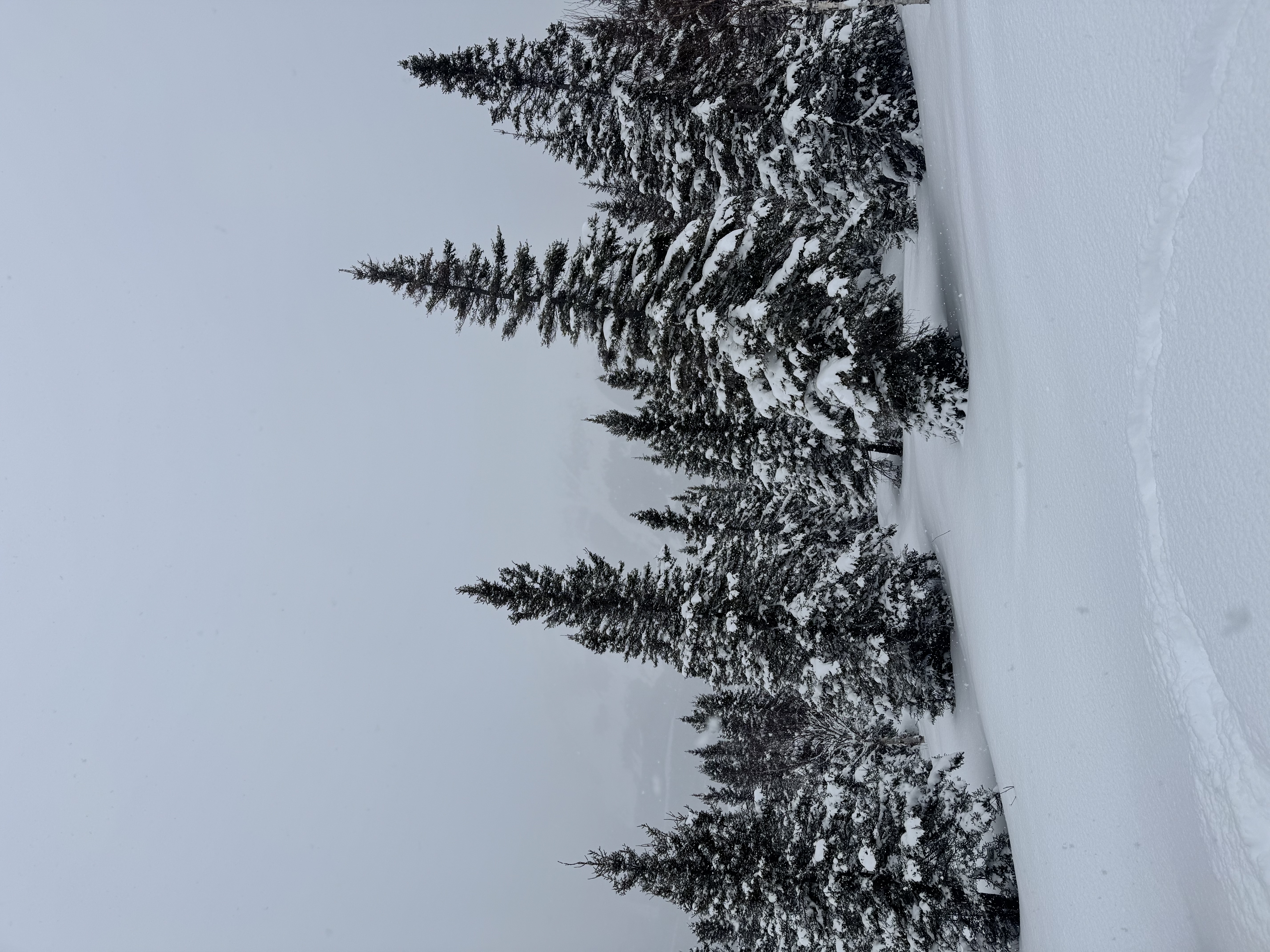 Observation photo