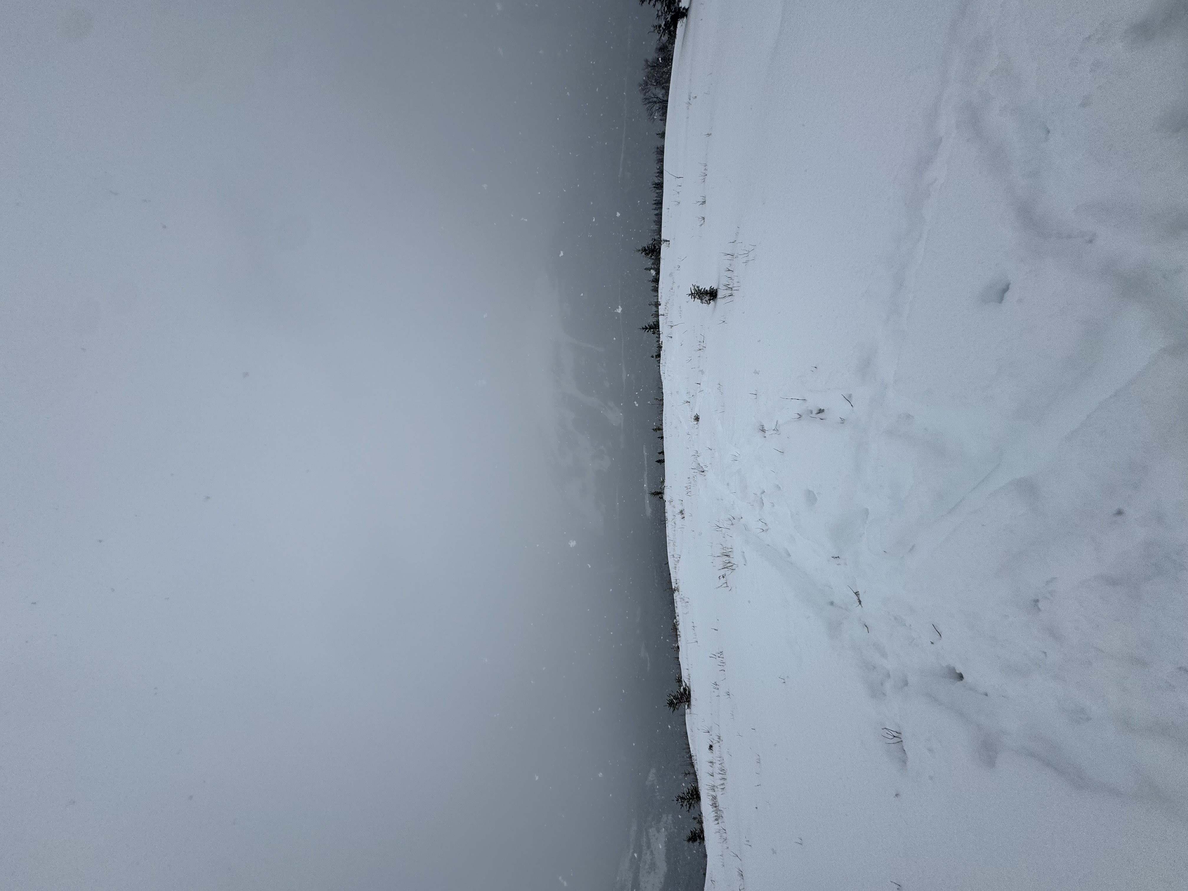 Observation photo