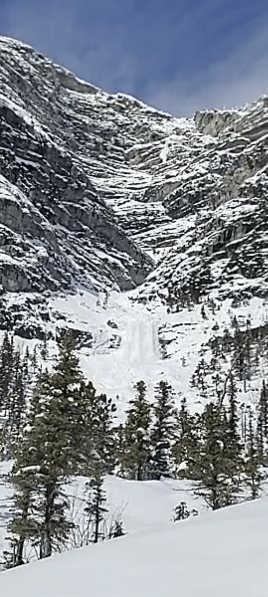 Observation photo
