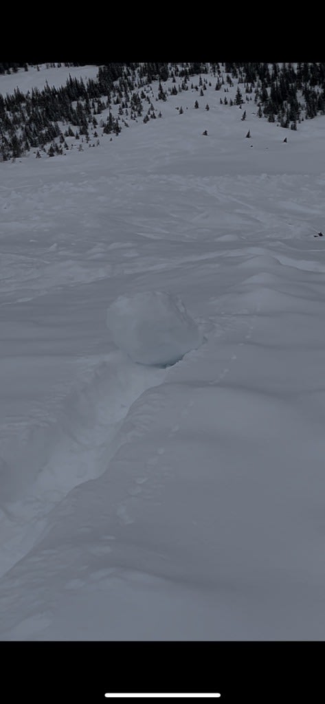 Observation photo
