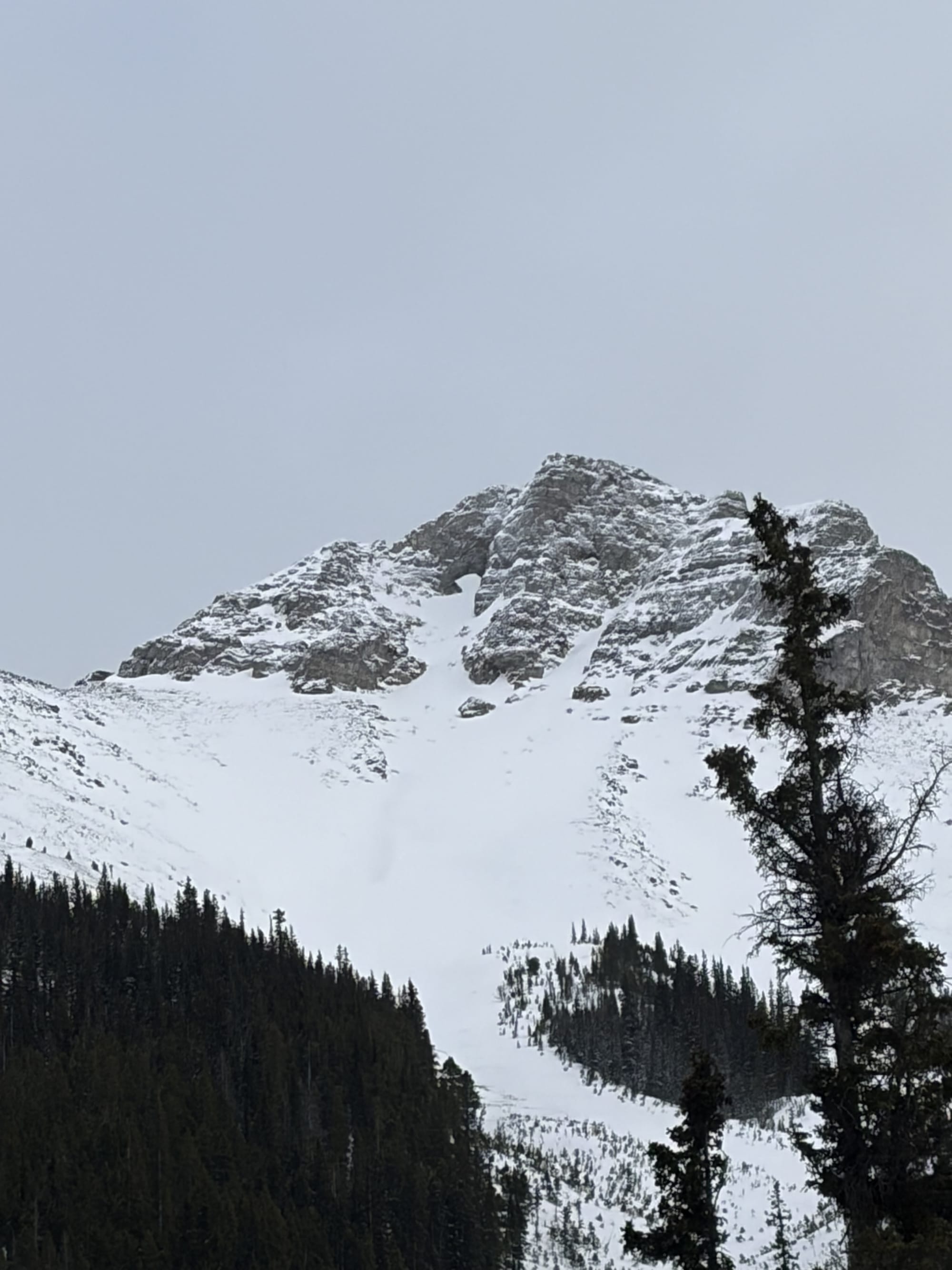 Observation photo