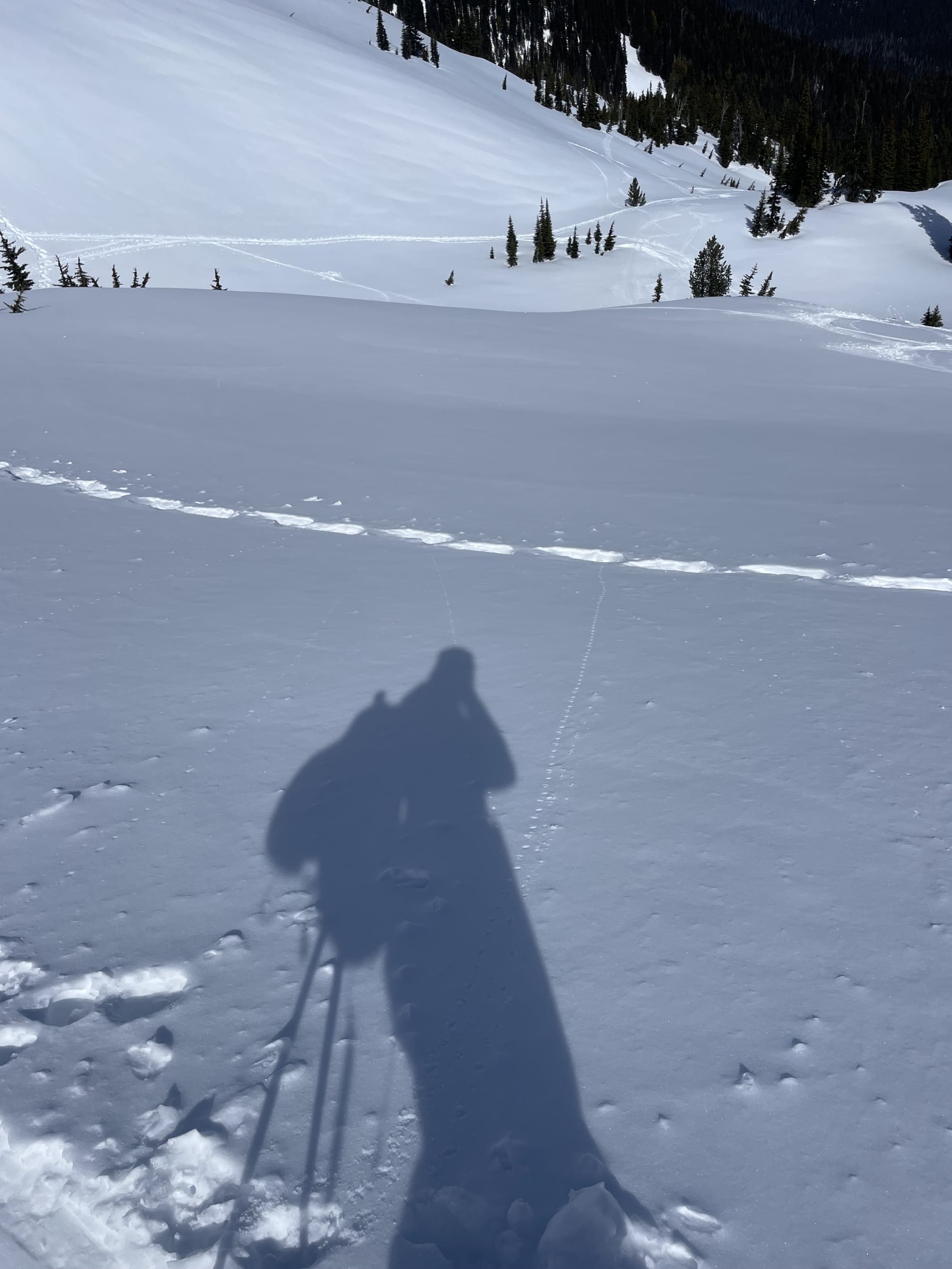 Observation photo