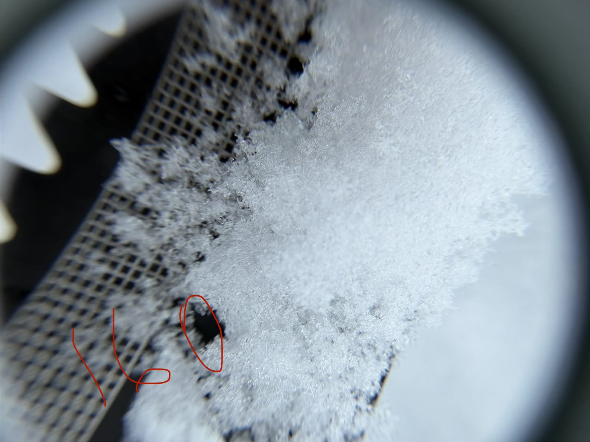Observation photo