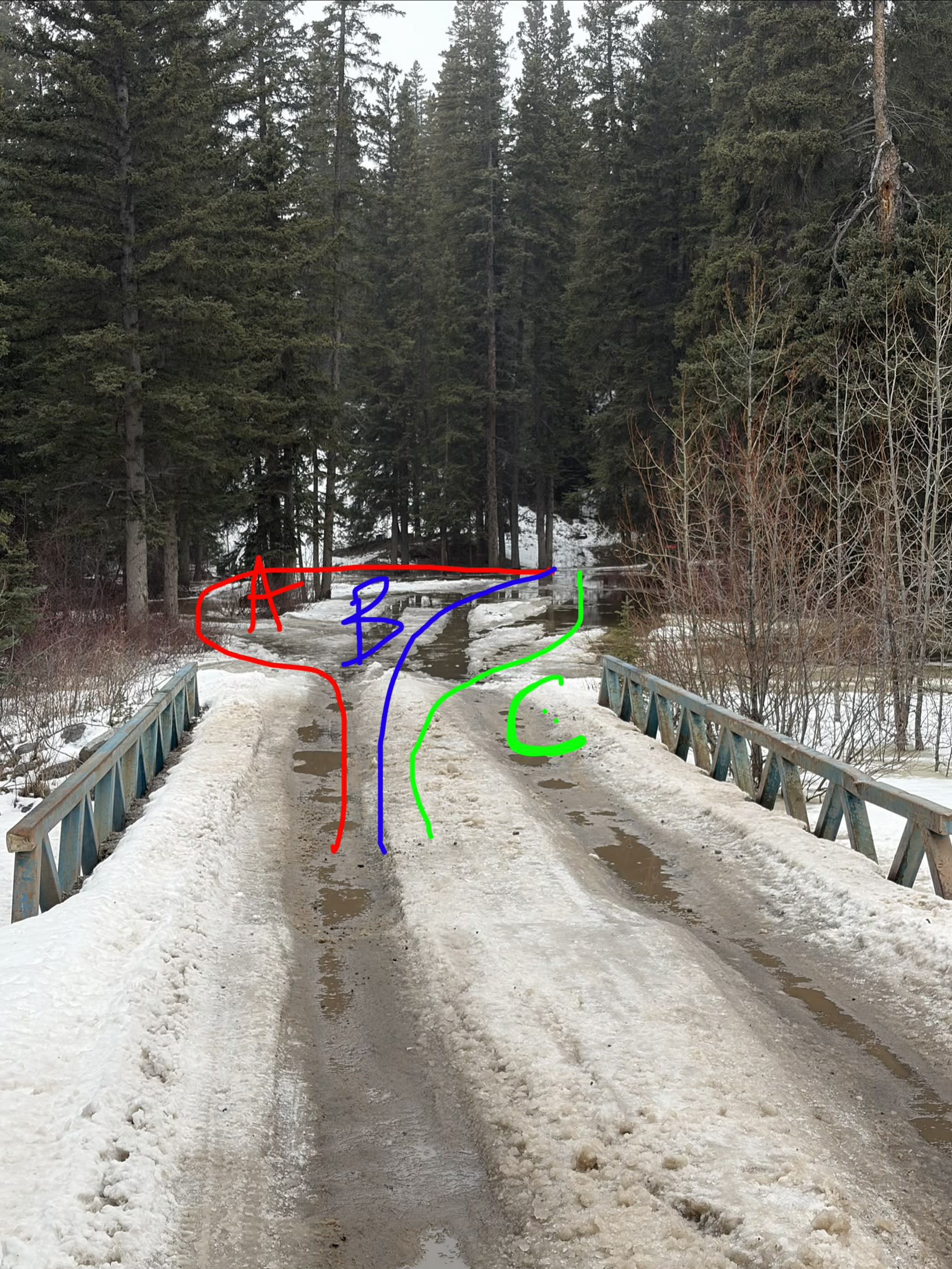 Observation photo