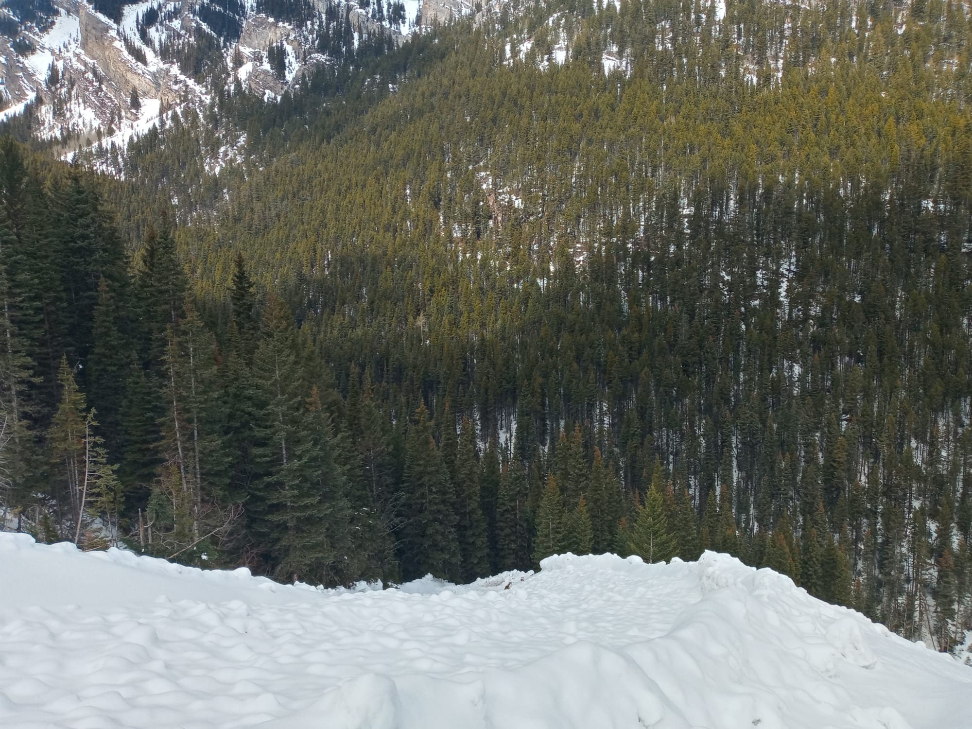 Observation photo