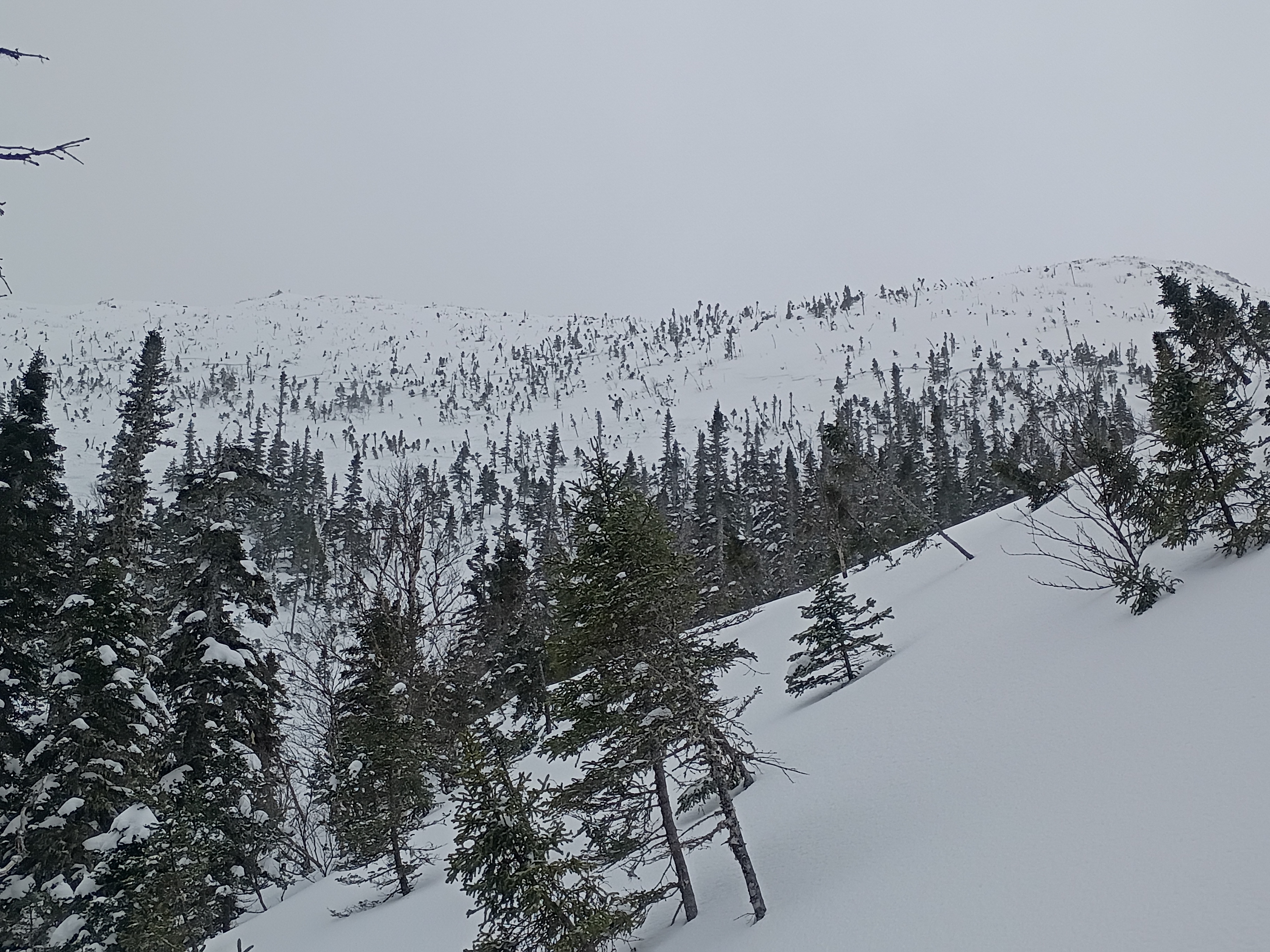 Observation photo