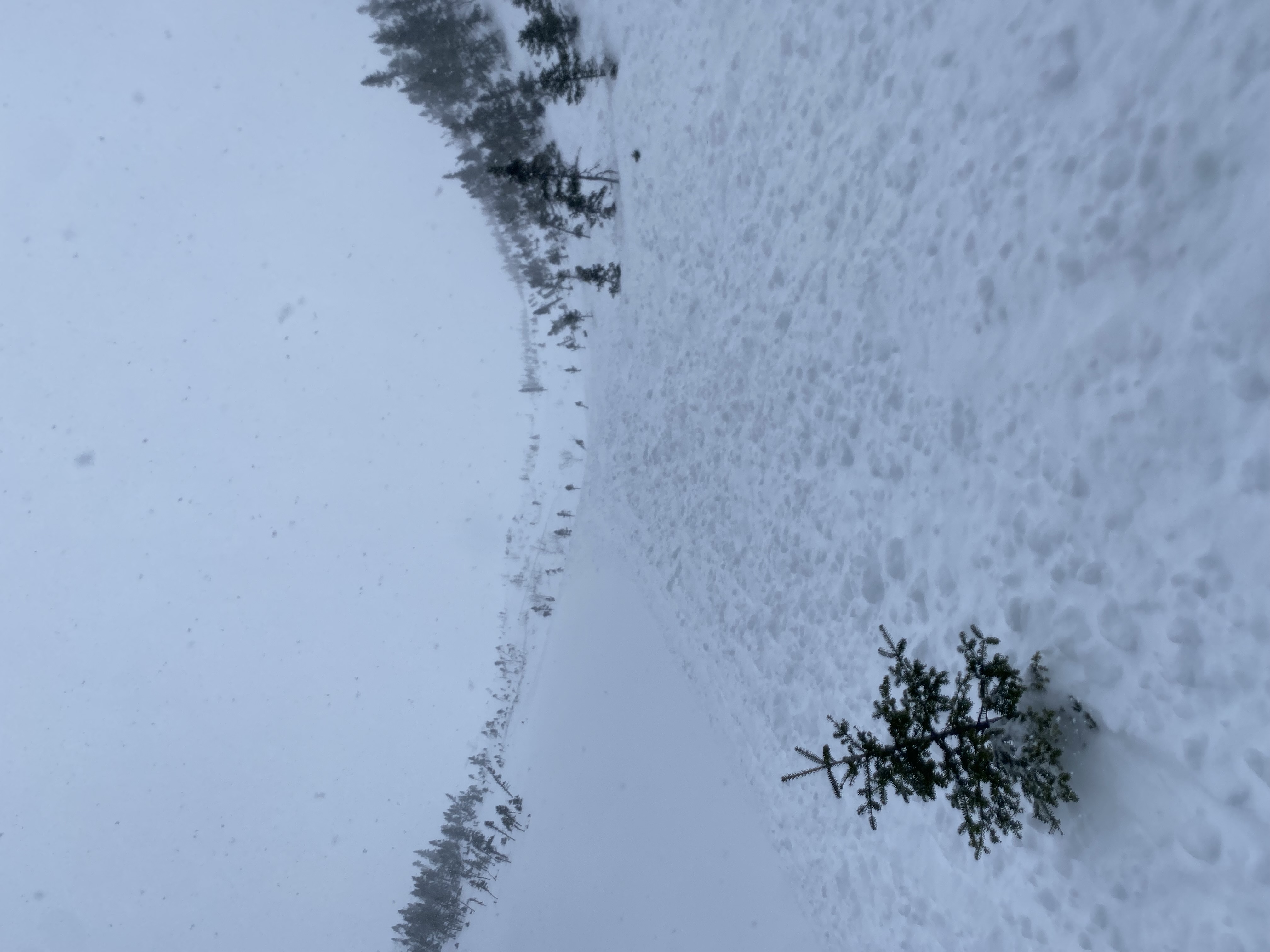 Observation photo
