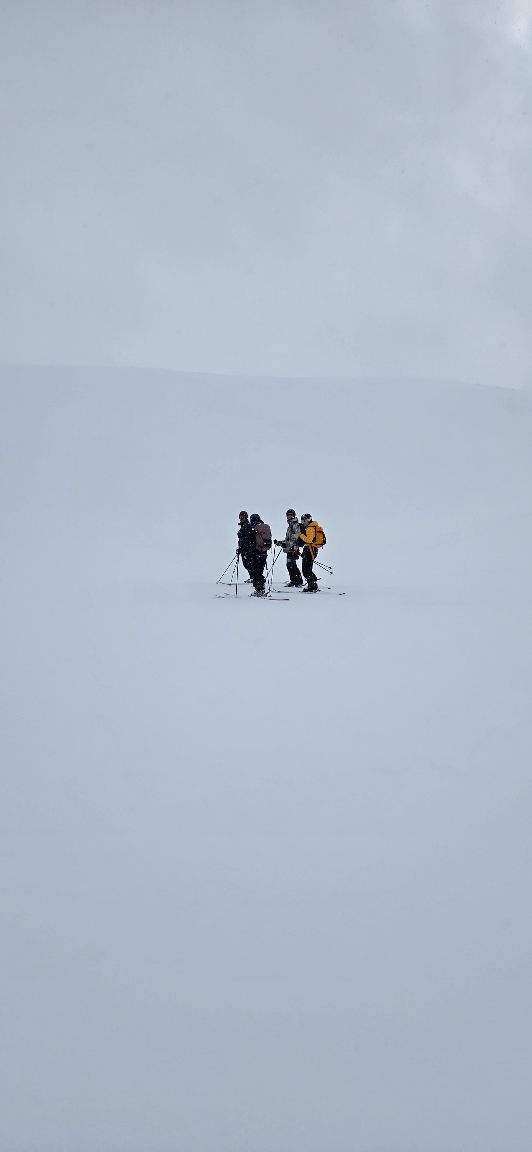 Observation photo