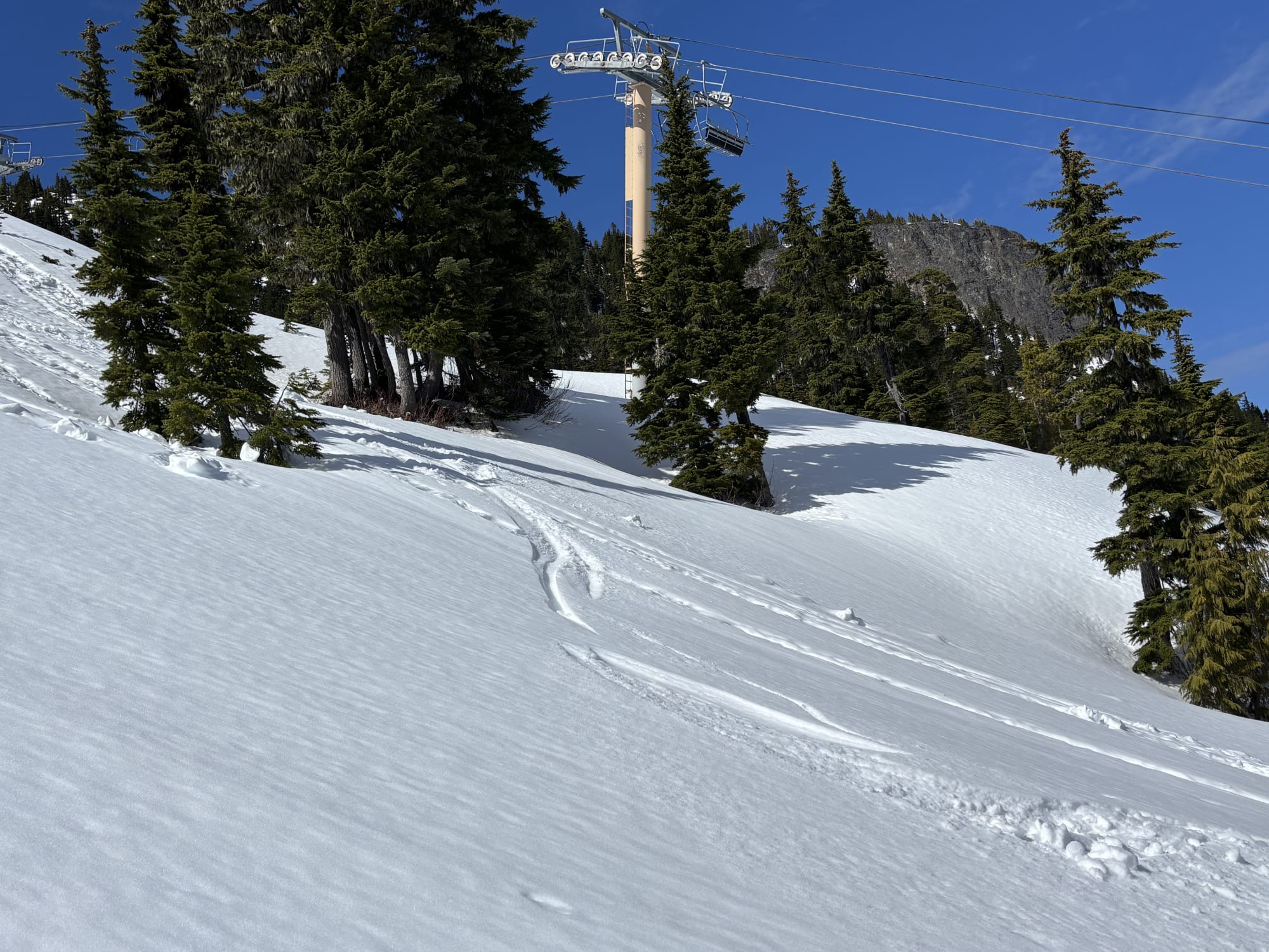Observation photo