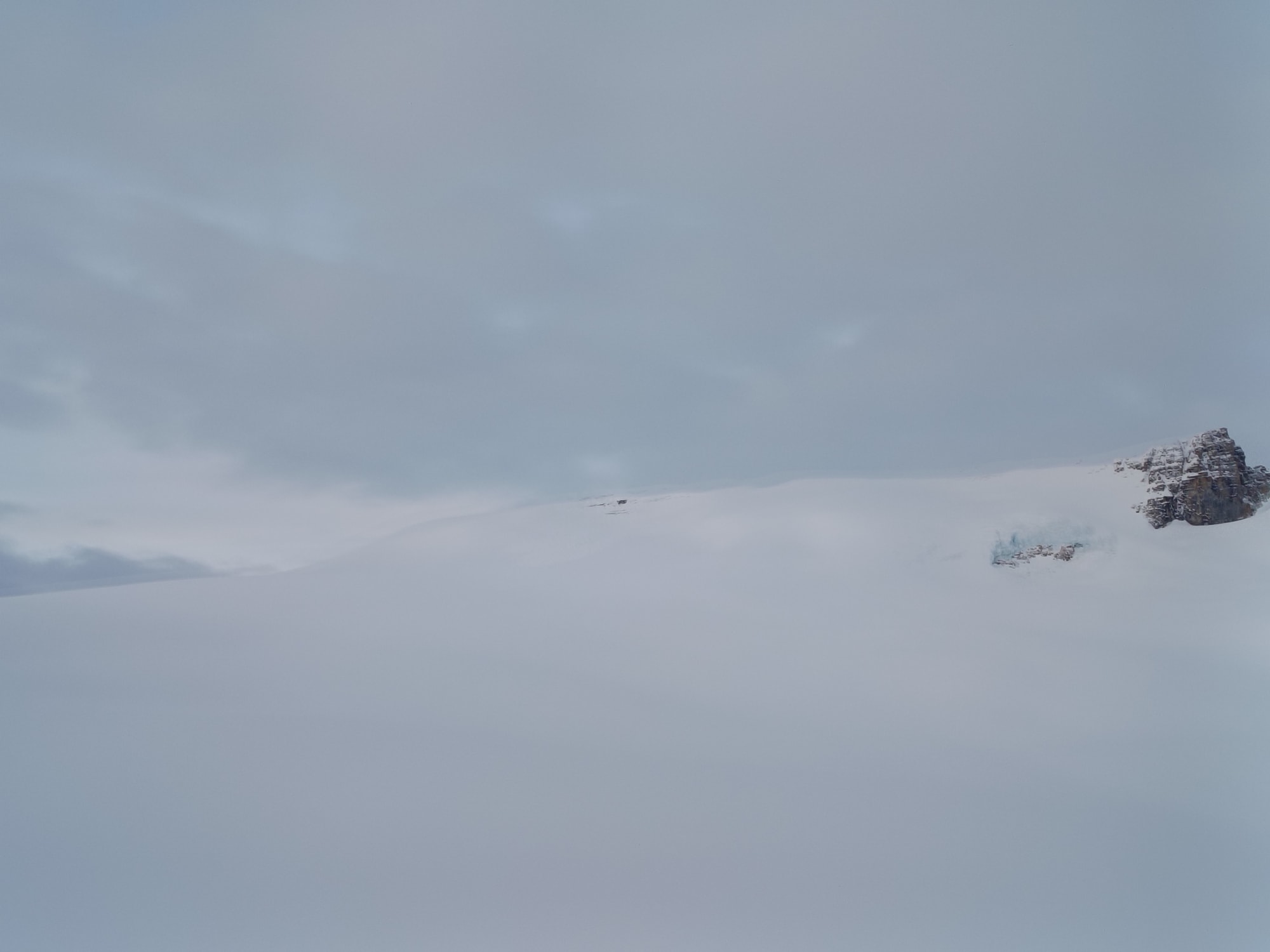 Observation photo