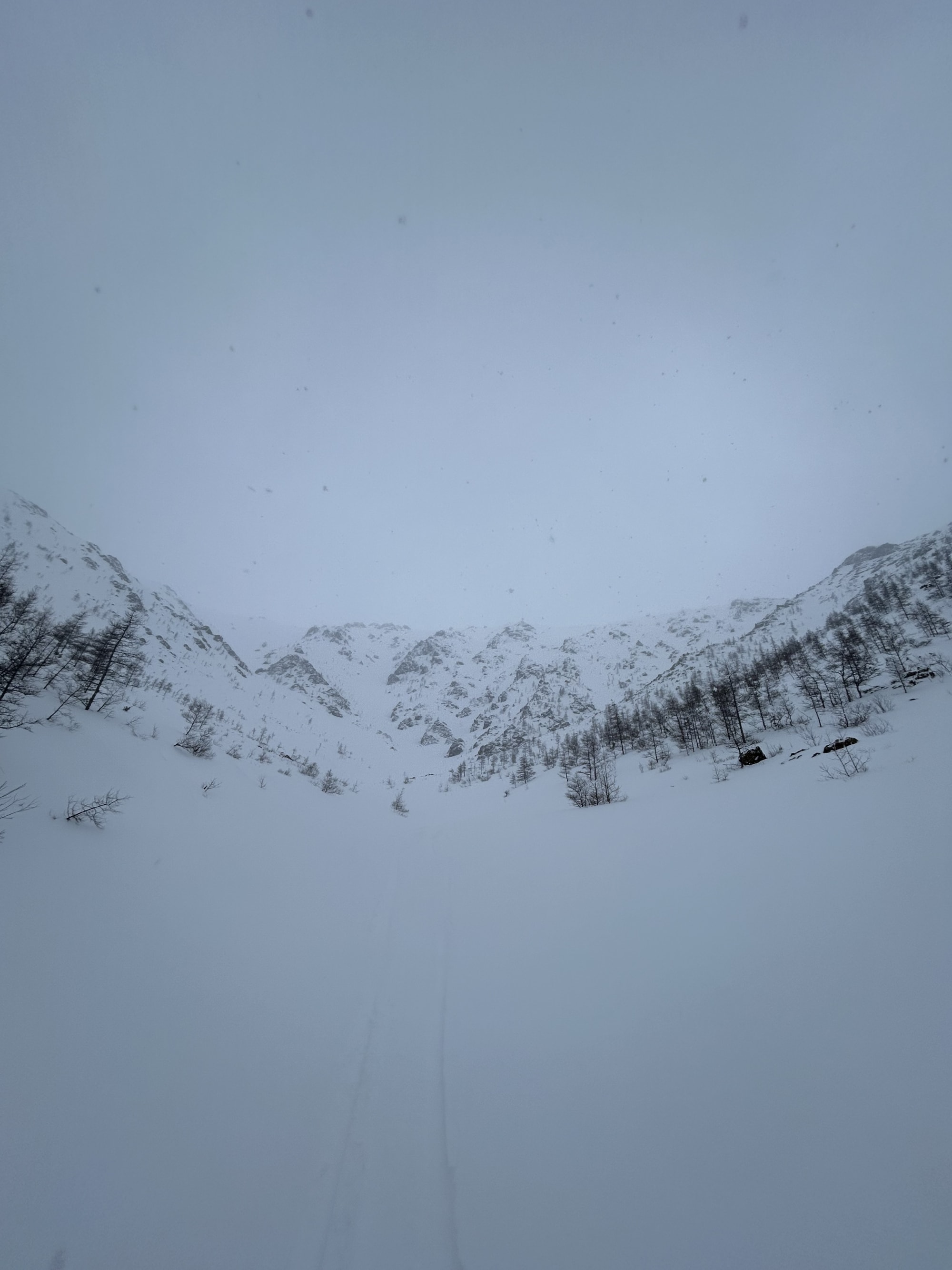 Observation photo