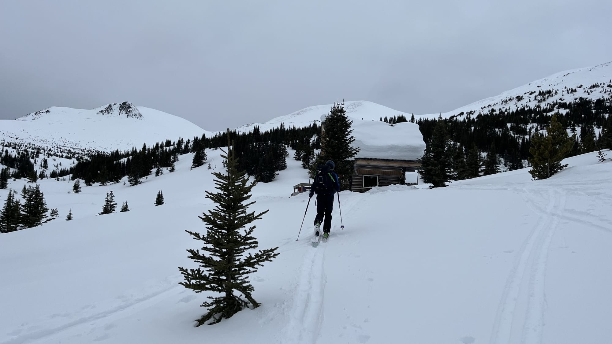Observation photo
