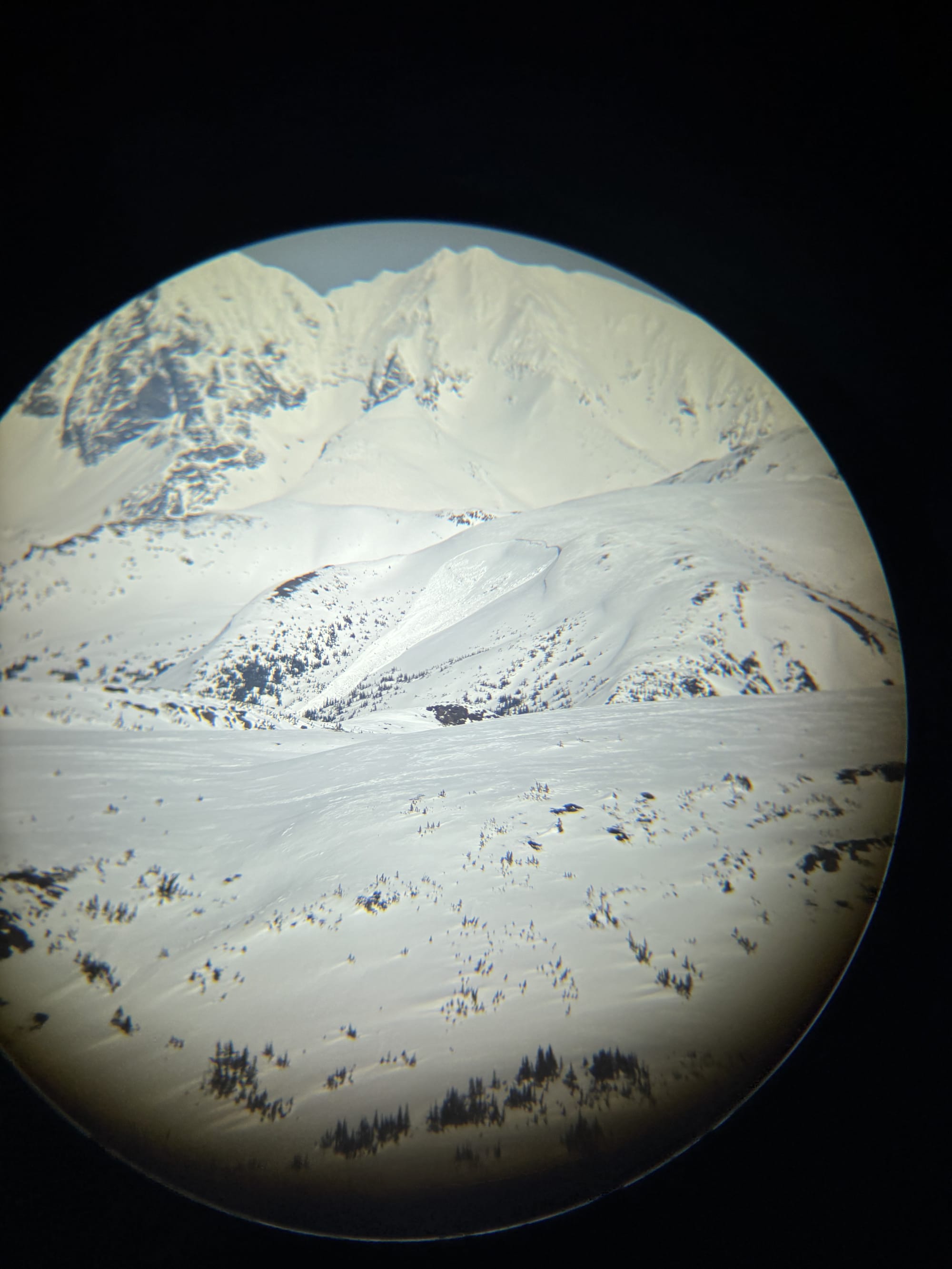 Observation photo