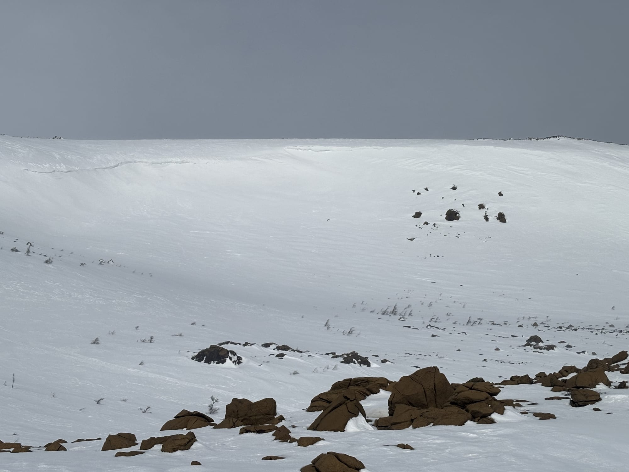Observation photo