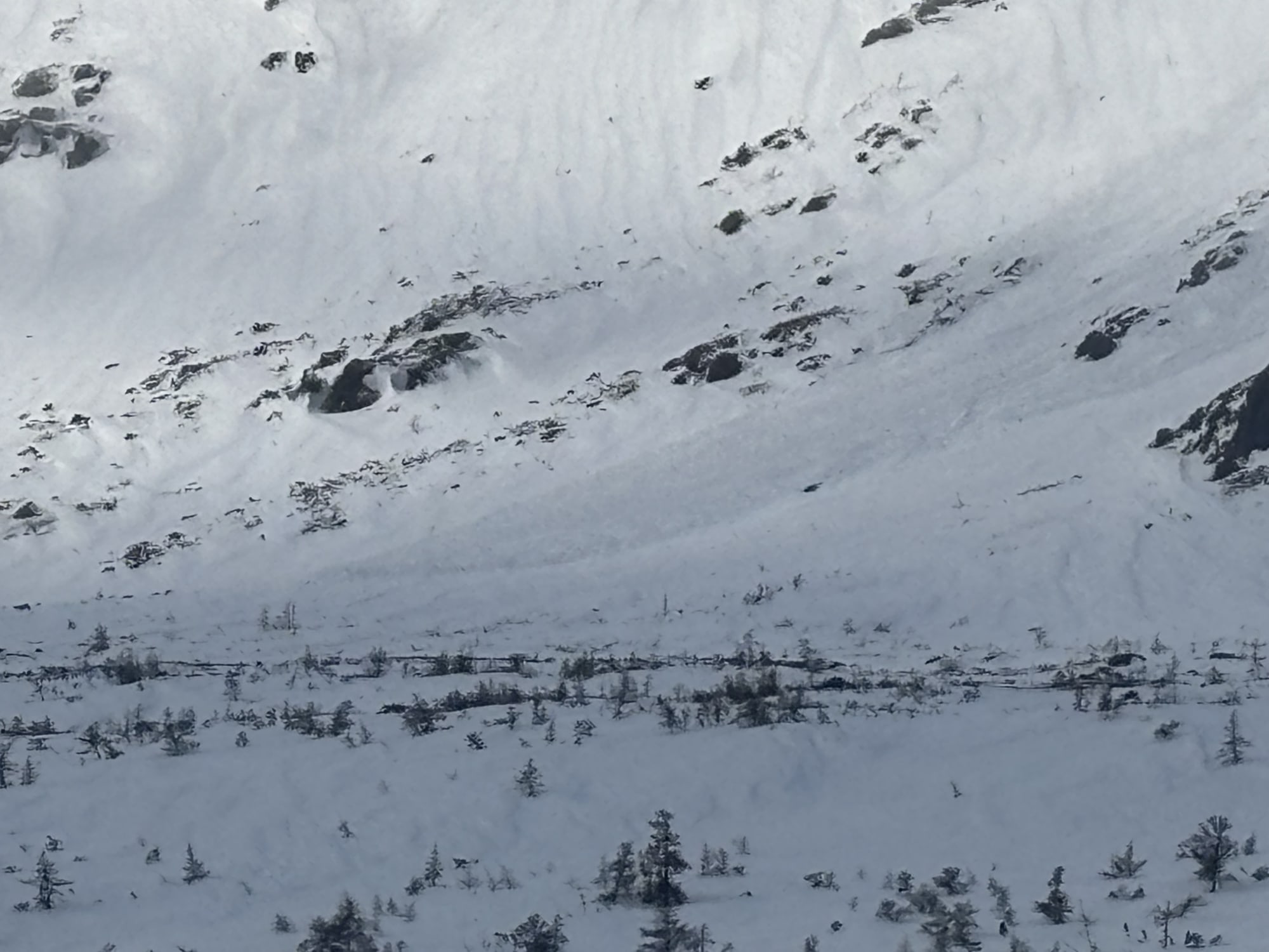Observation photo