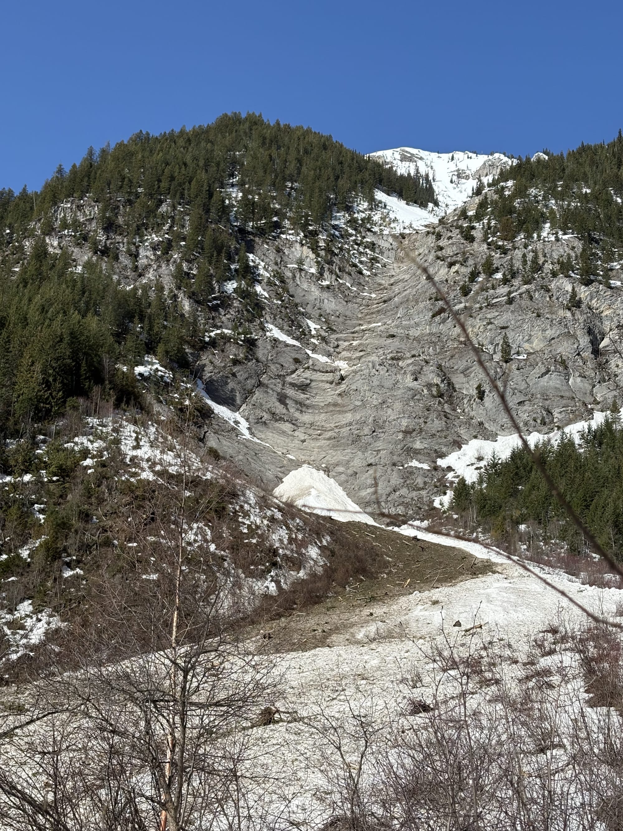 Observation photo