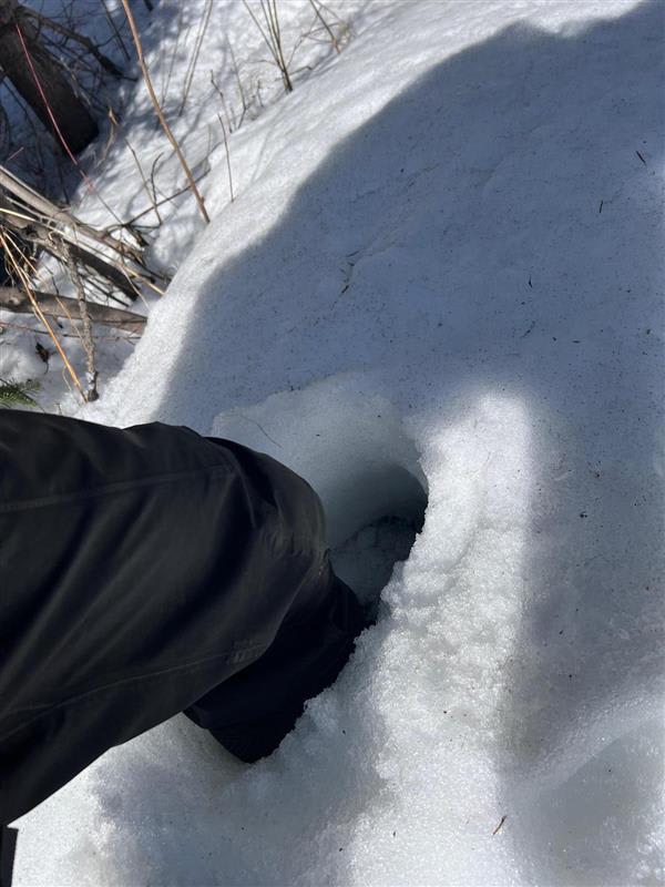 Observation photo