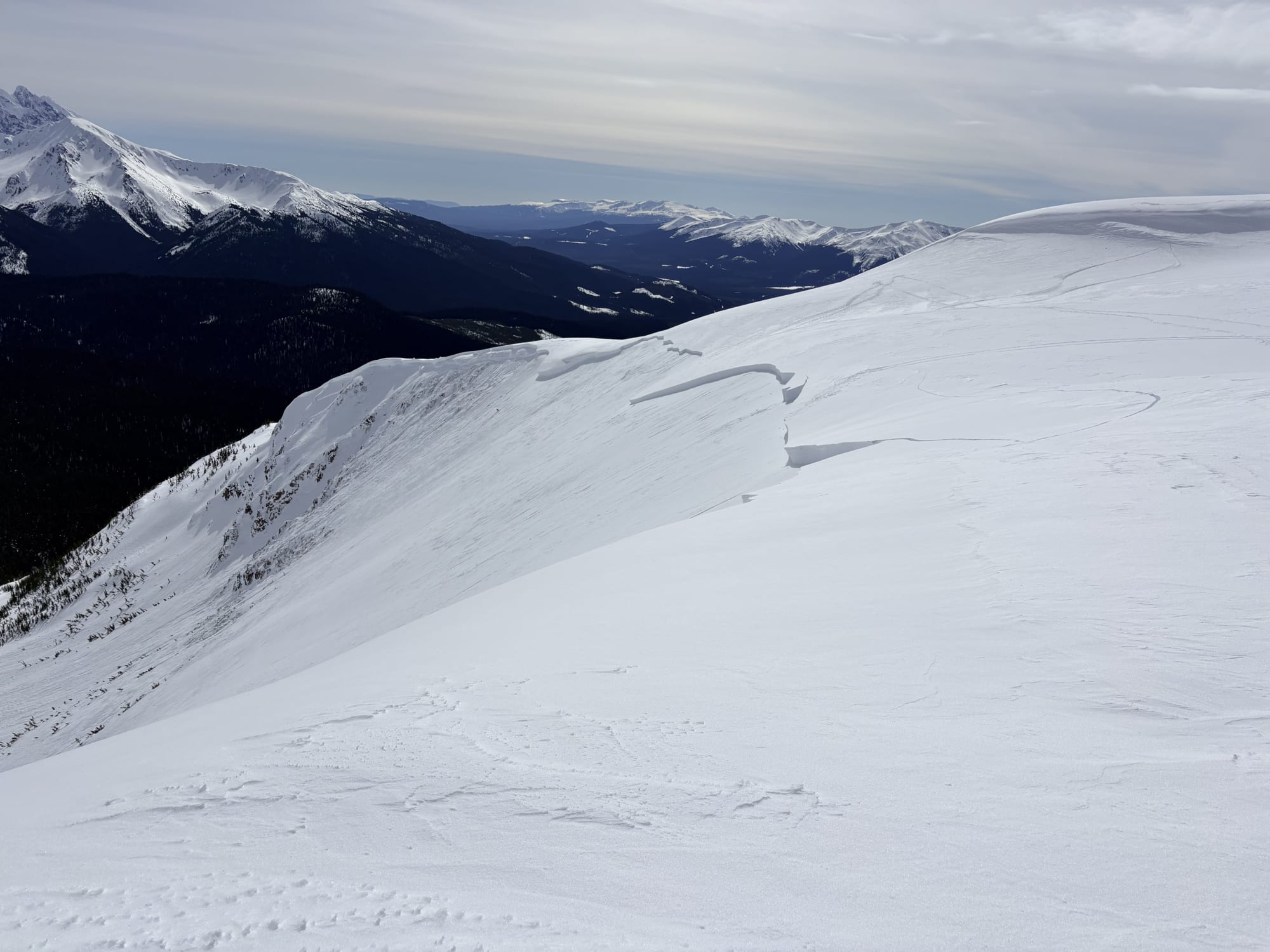 Observation photo