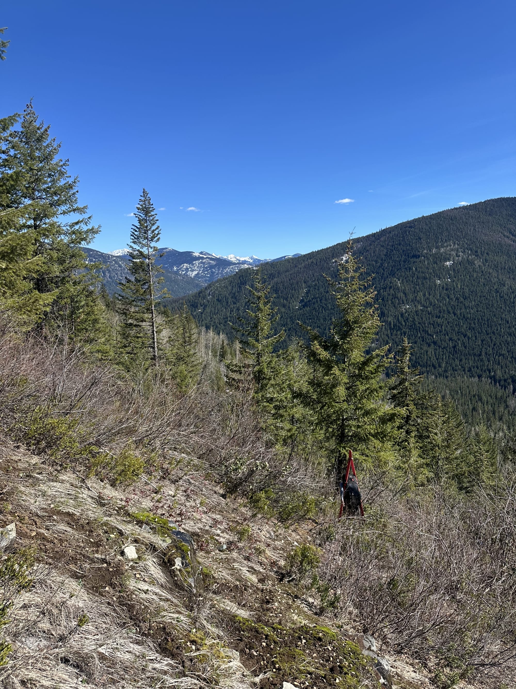 Observation photo