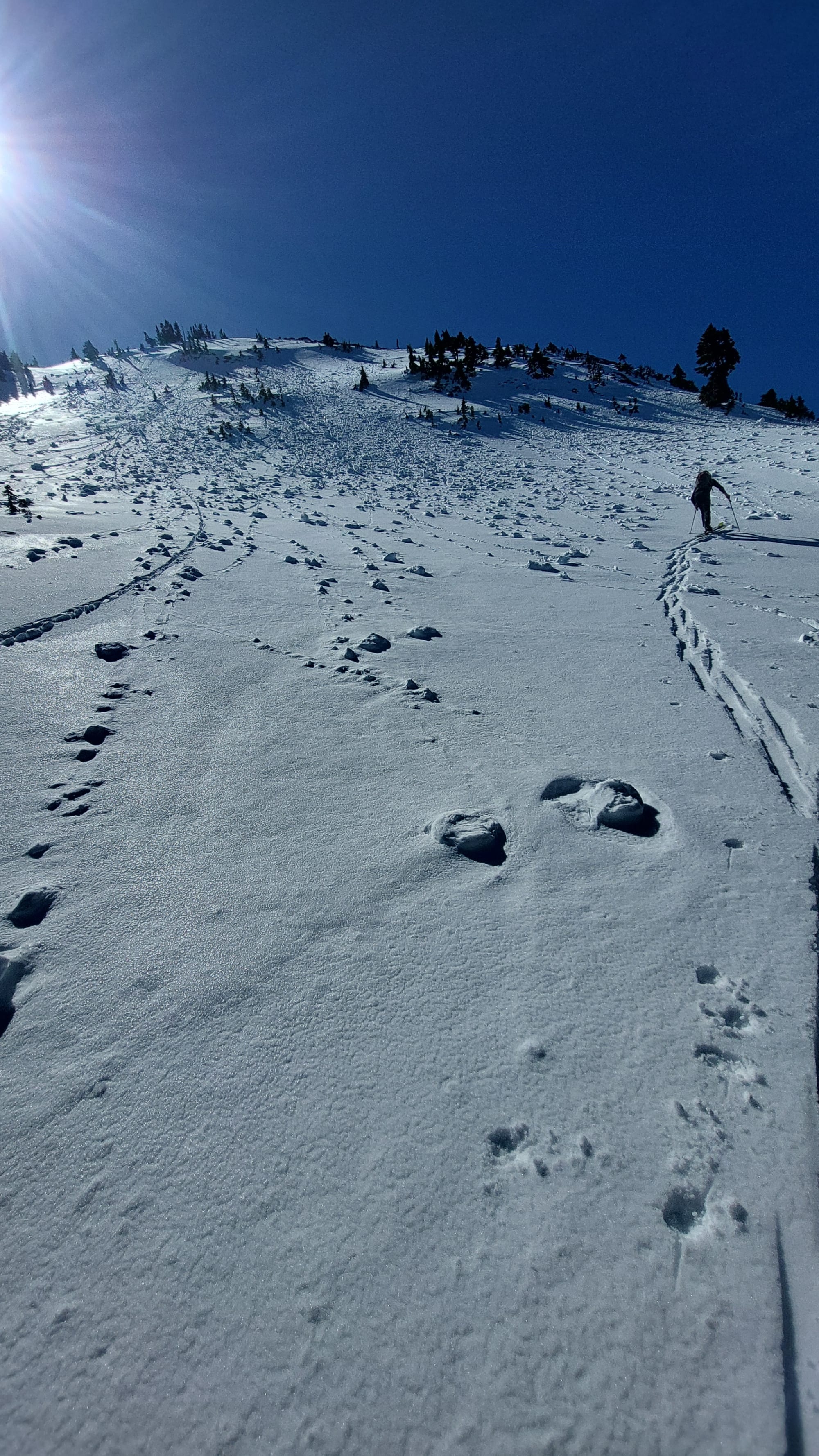 Observation photo