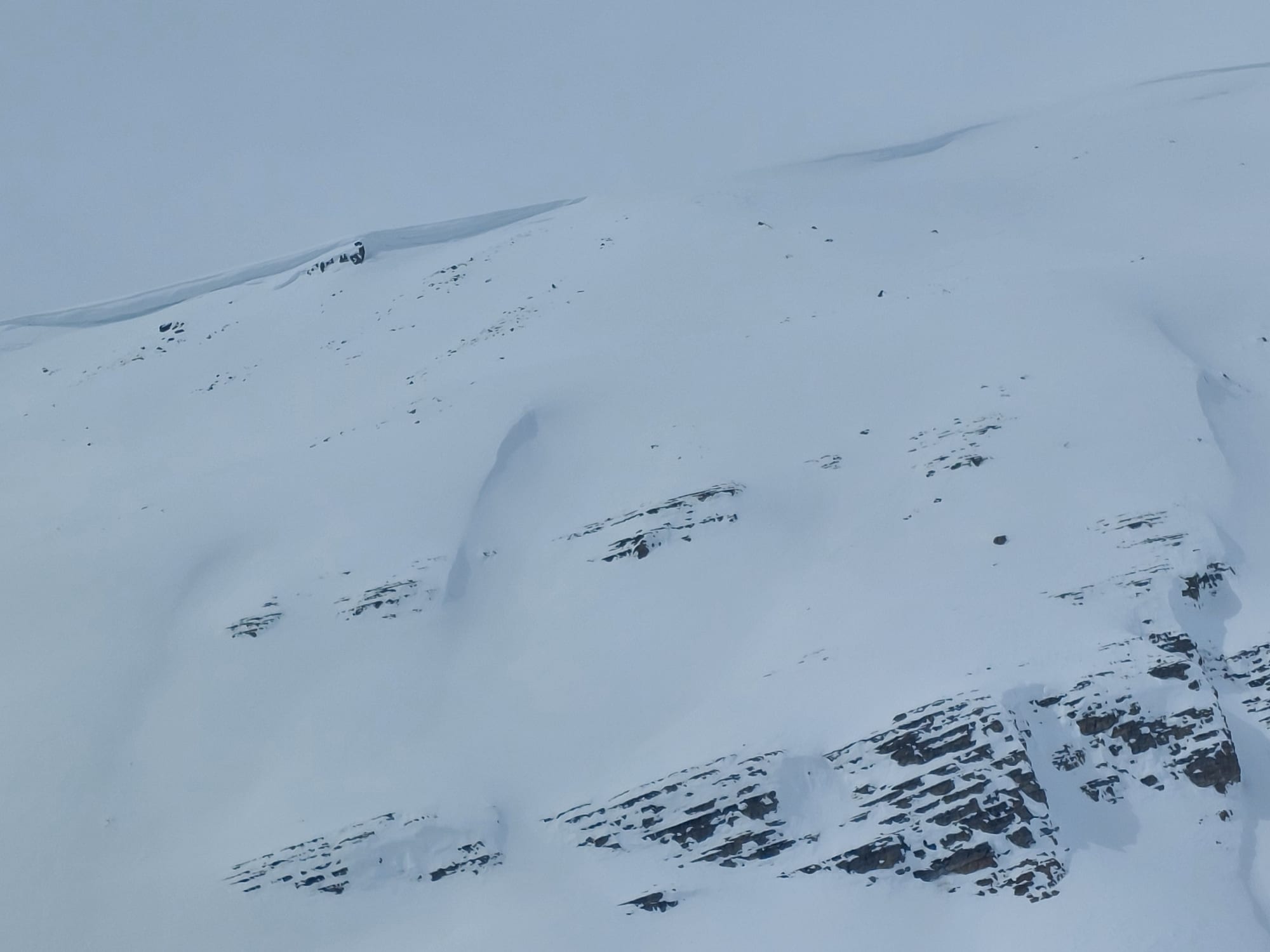 Observation photo