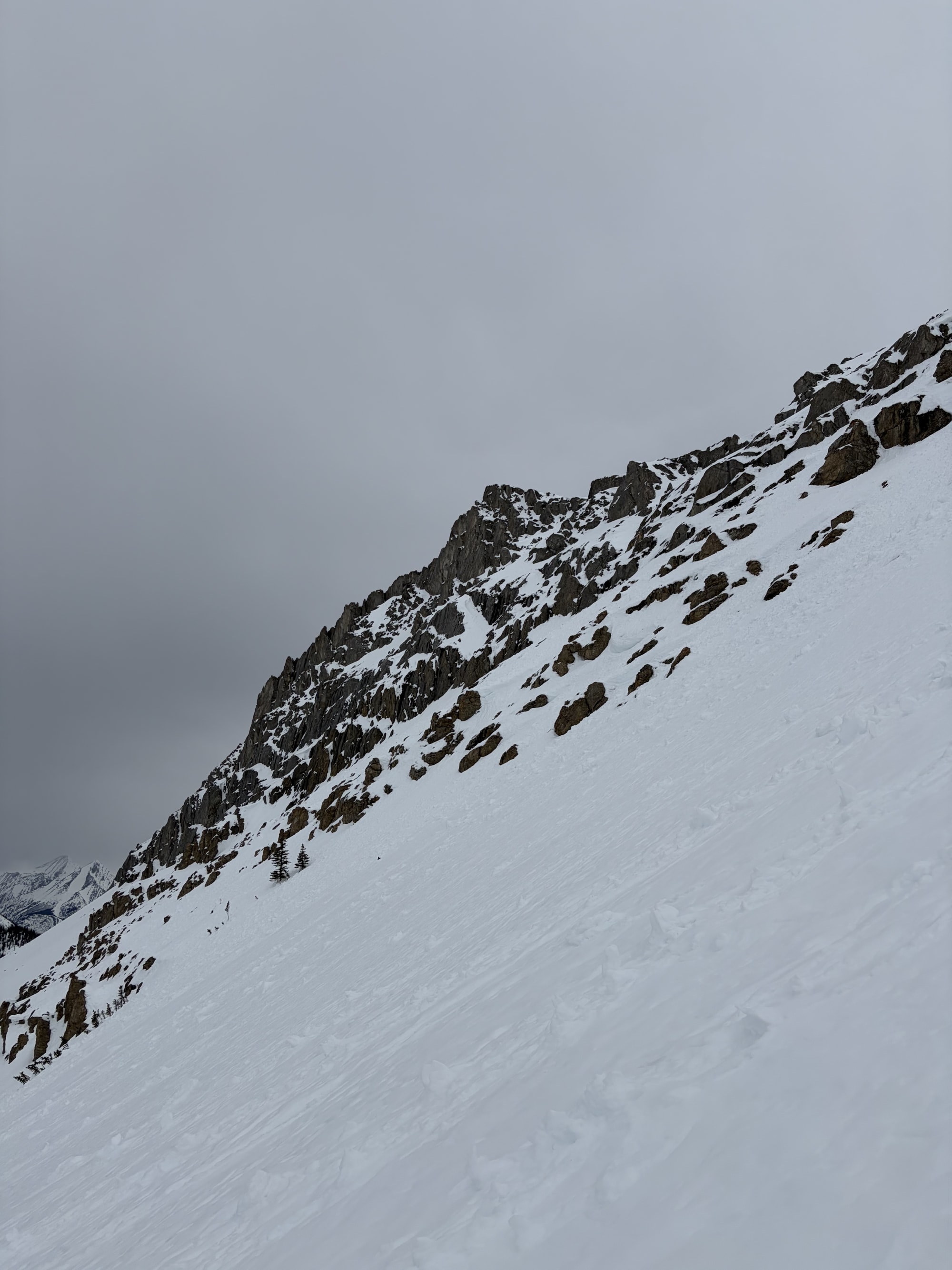 Observation photo
