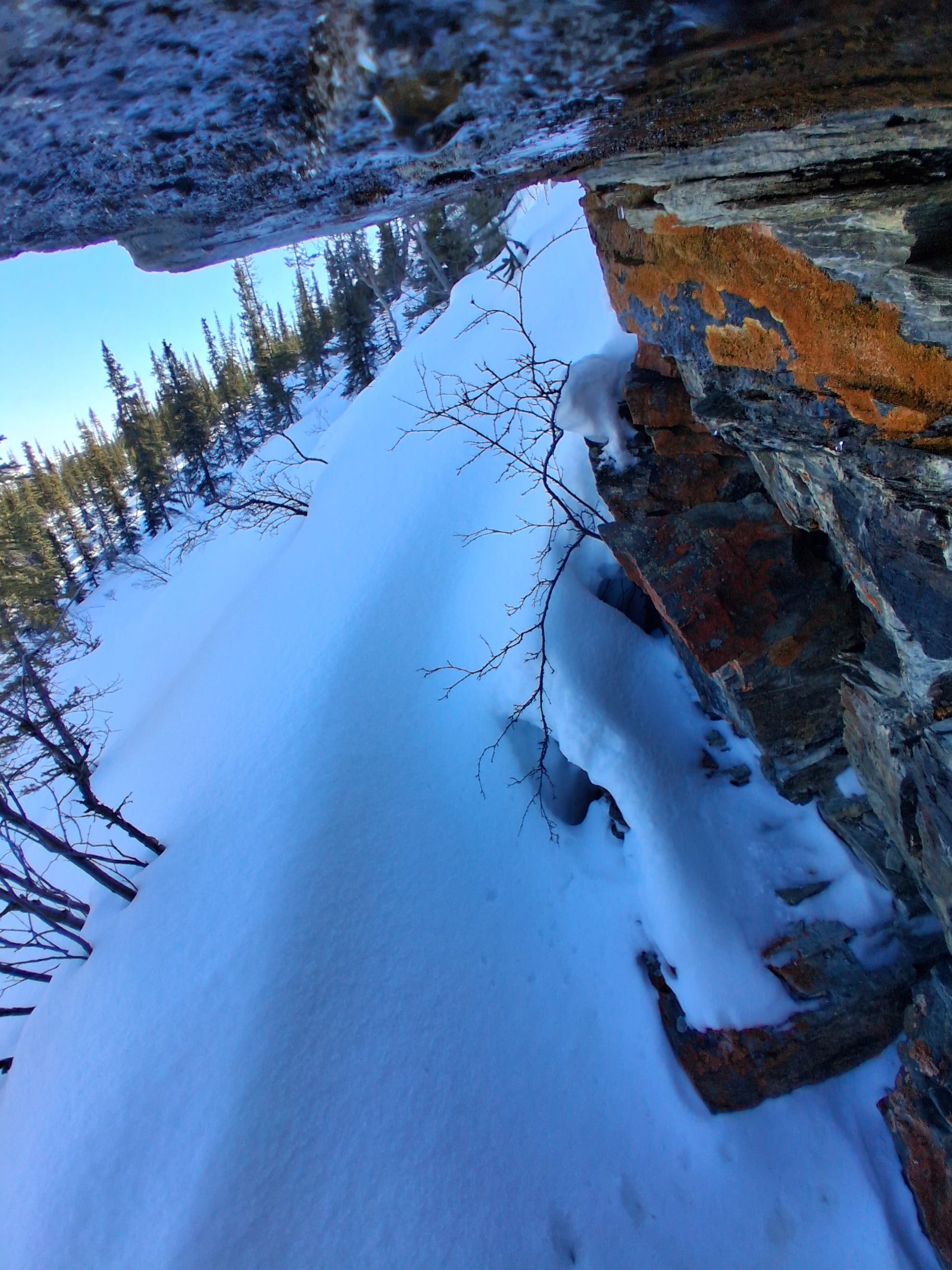 Observation photo