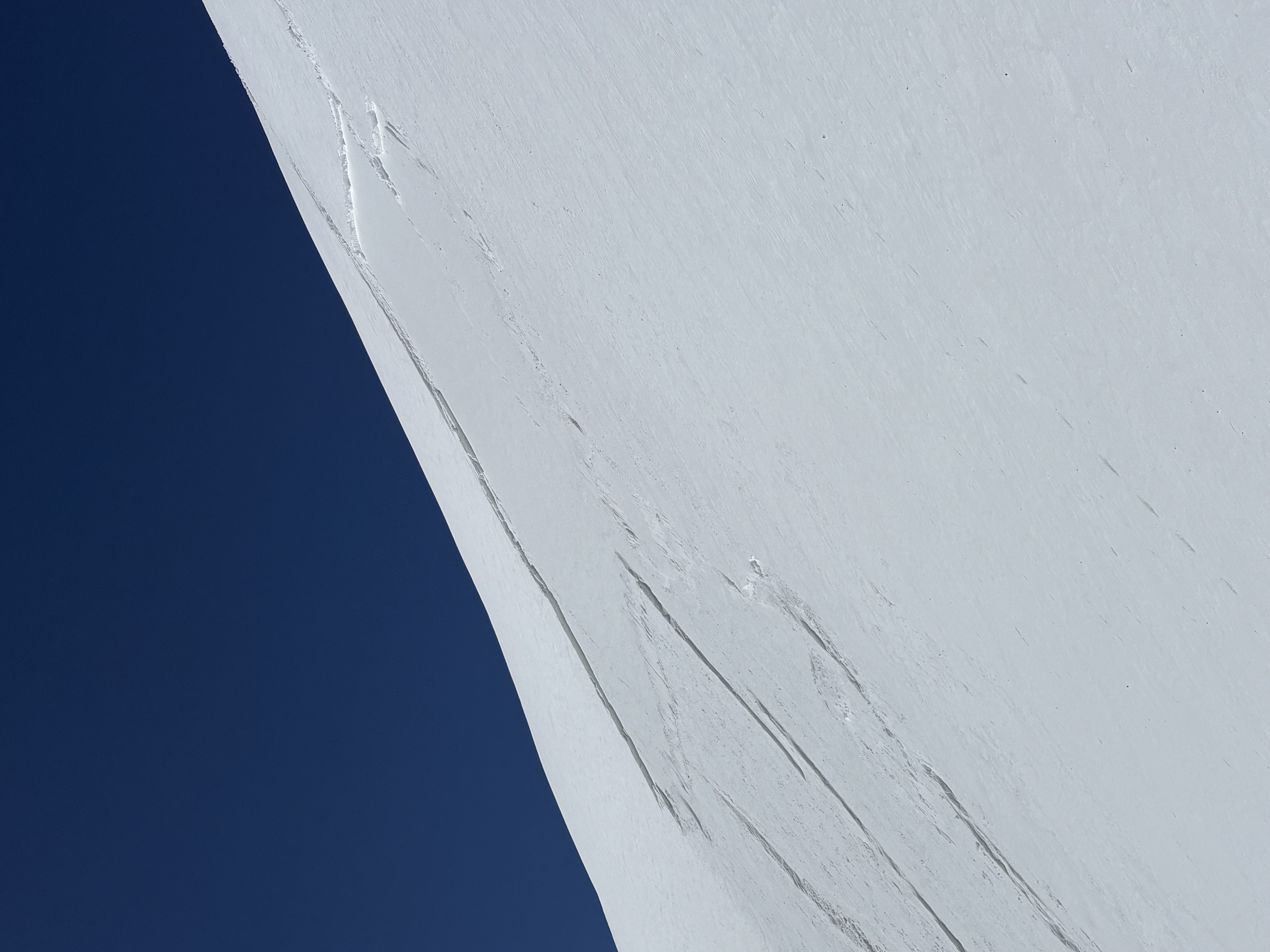 Observation photo