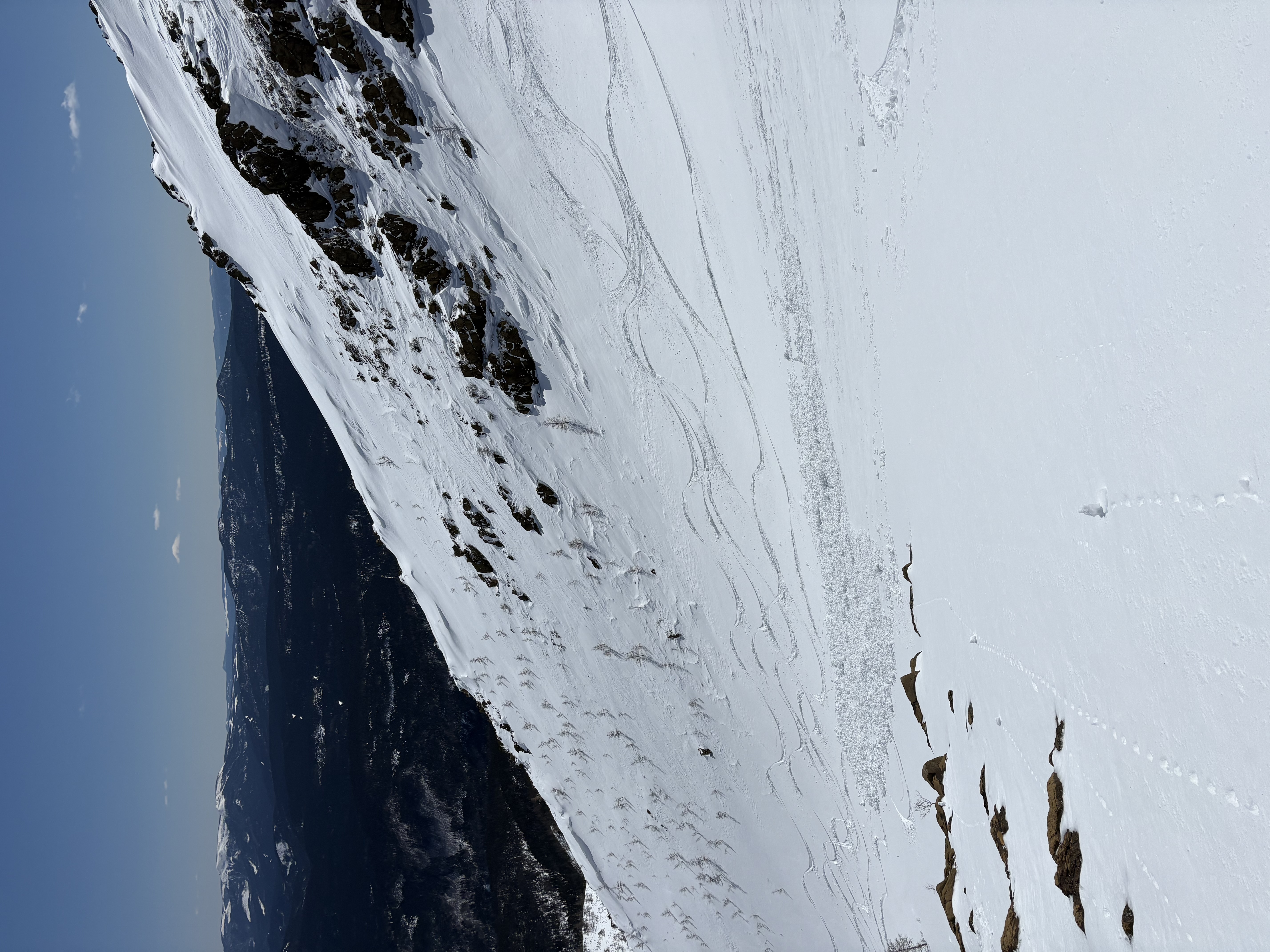 Observation photo