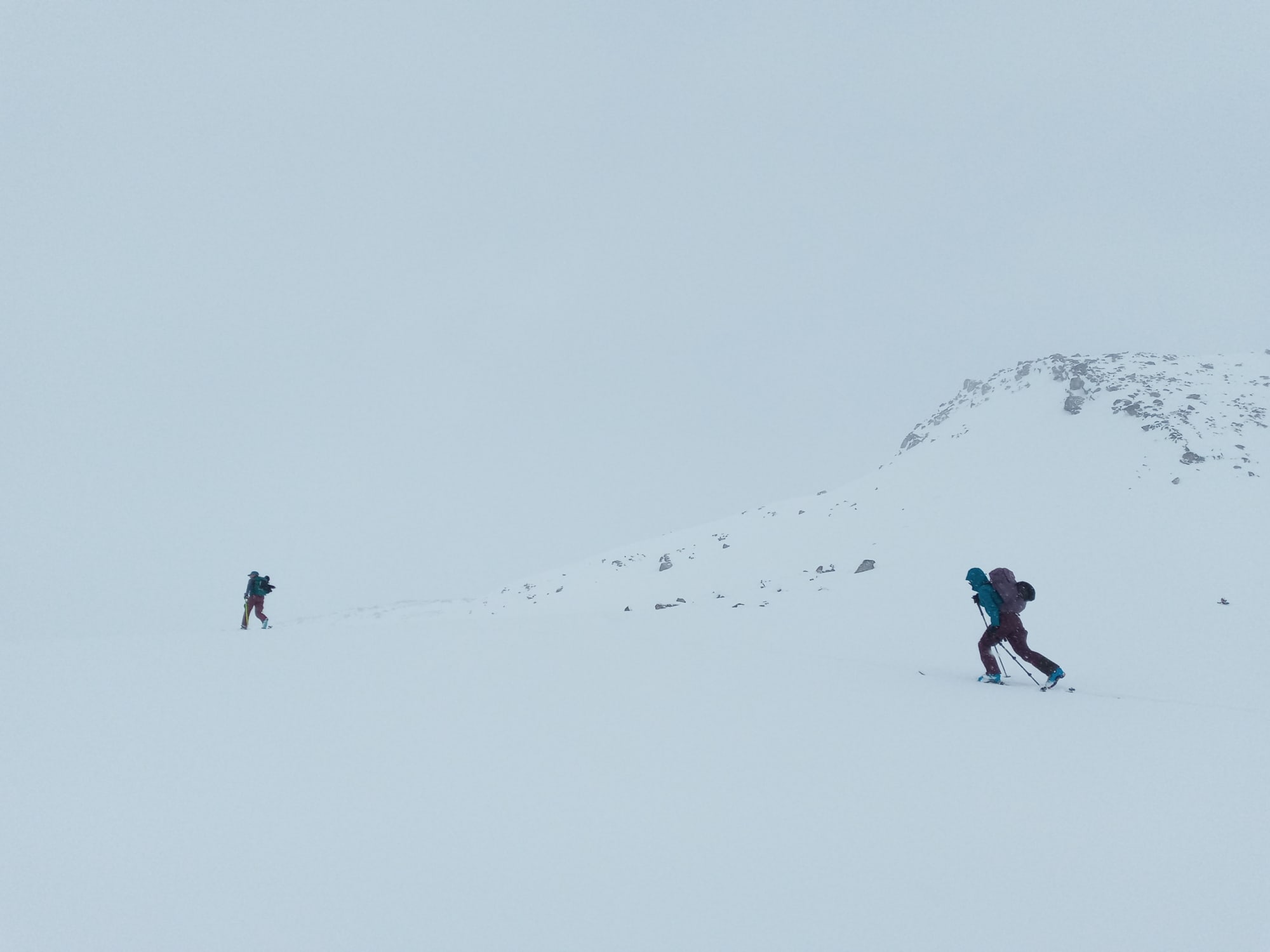 Observation photo