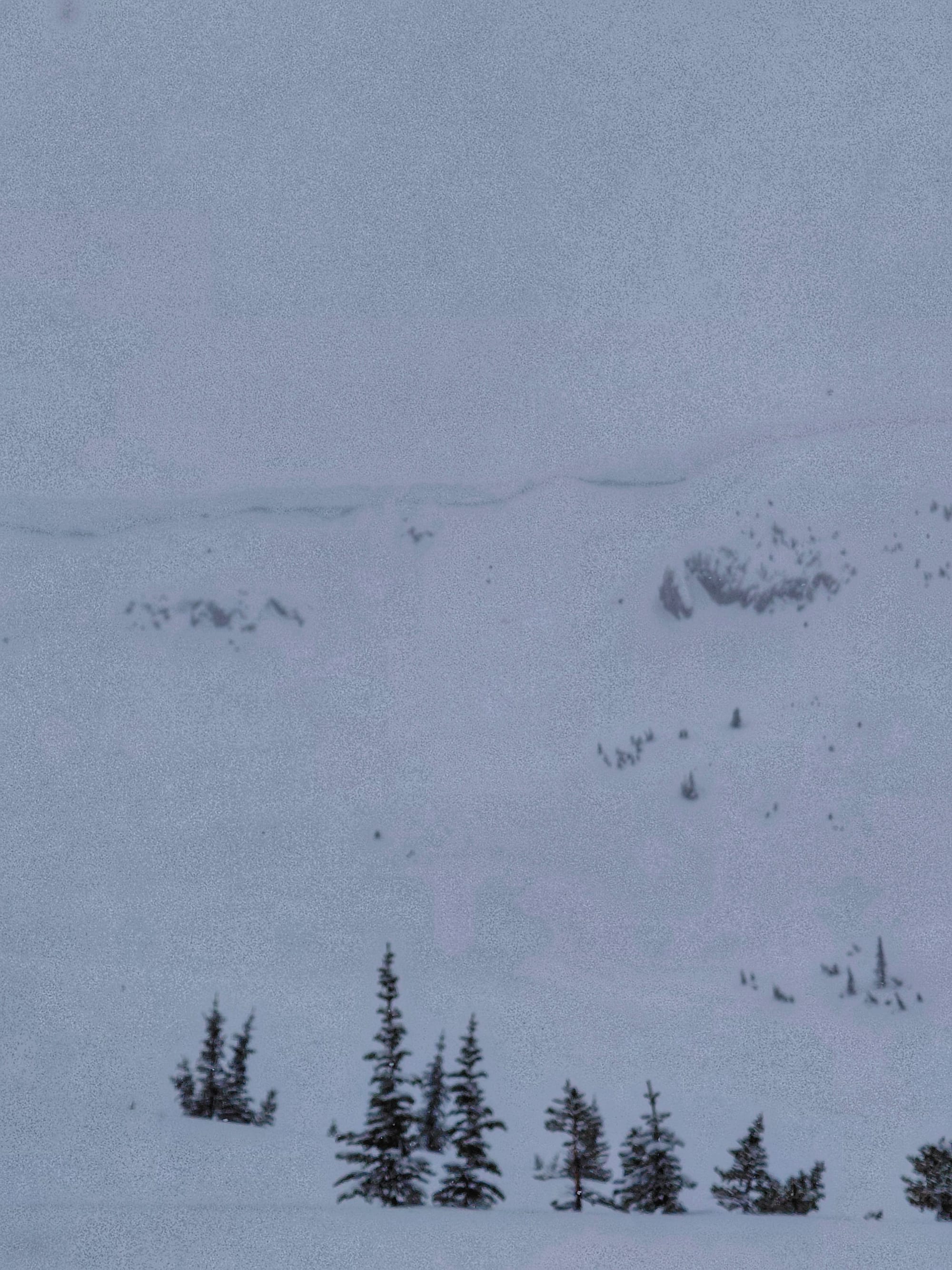 Observation photo