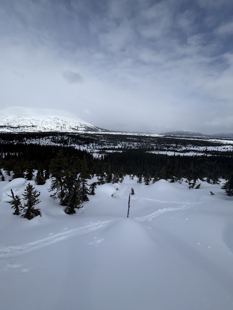 Observation photo