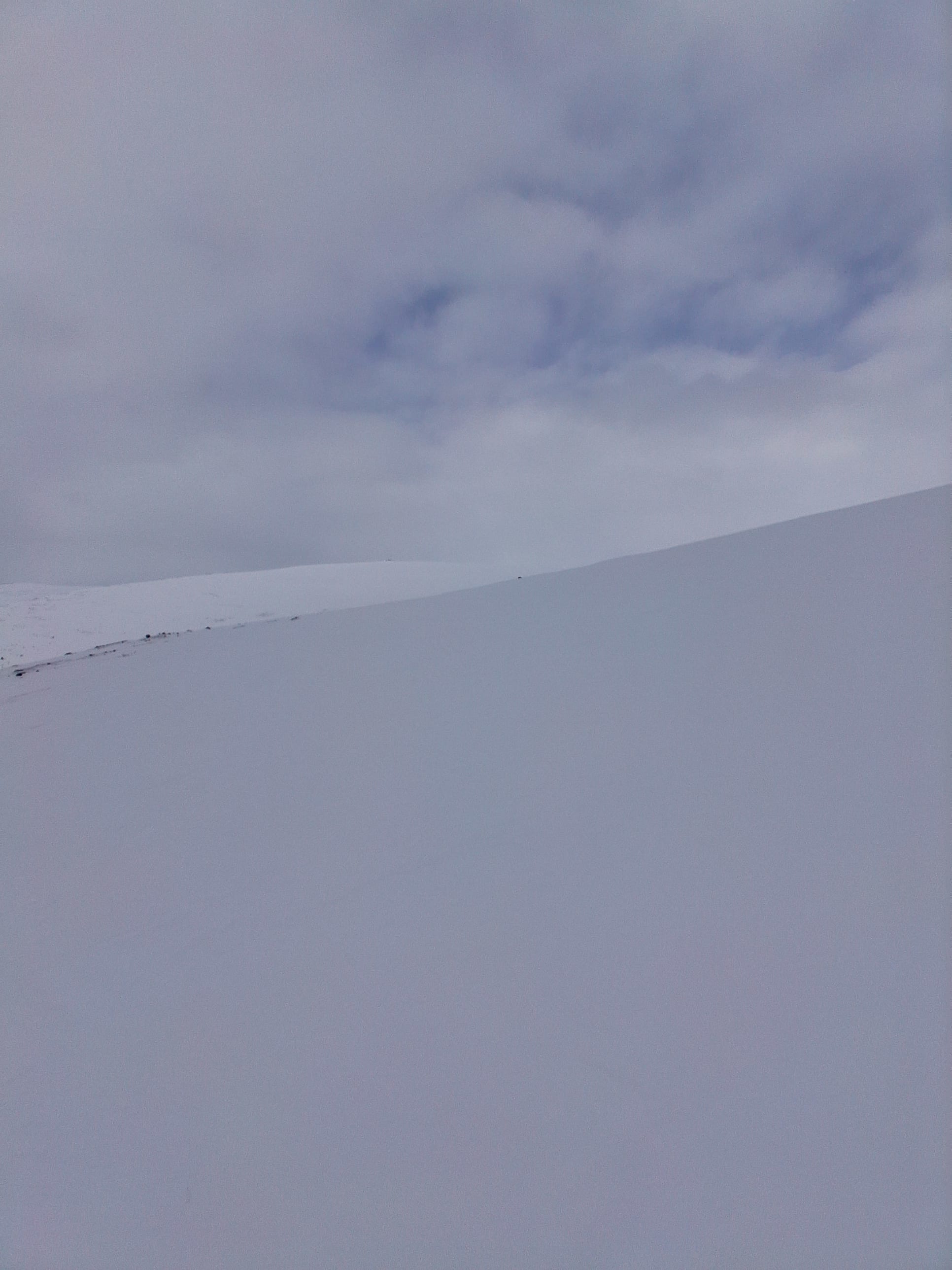 Observation photo
