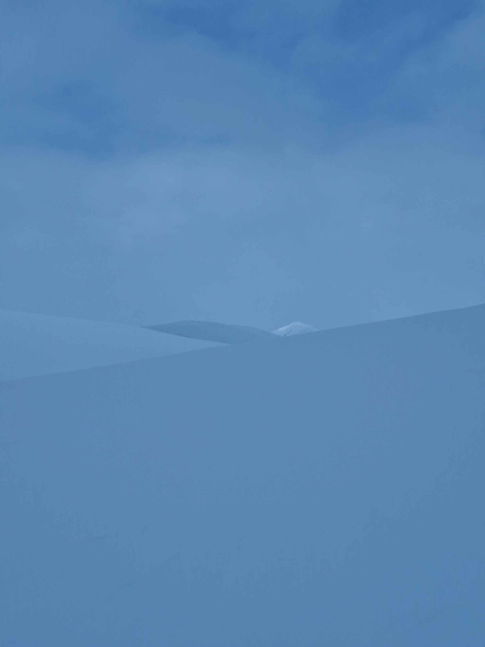 Observation photo