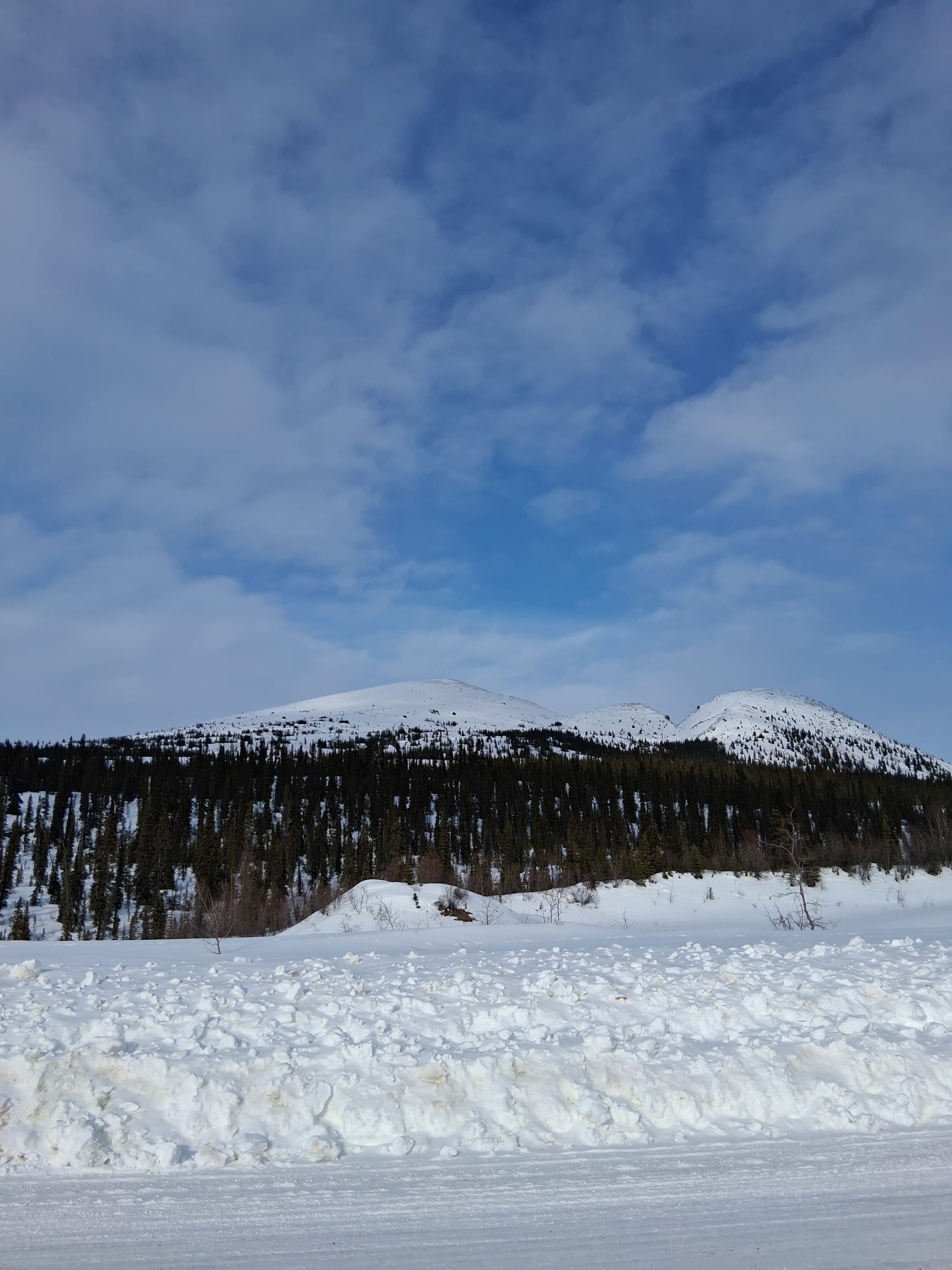 Observation photo