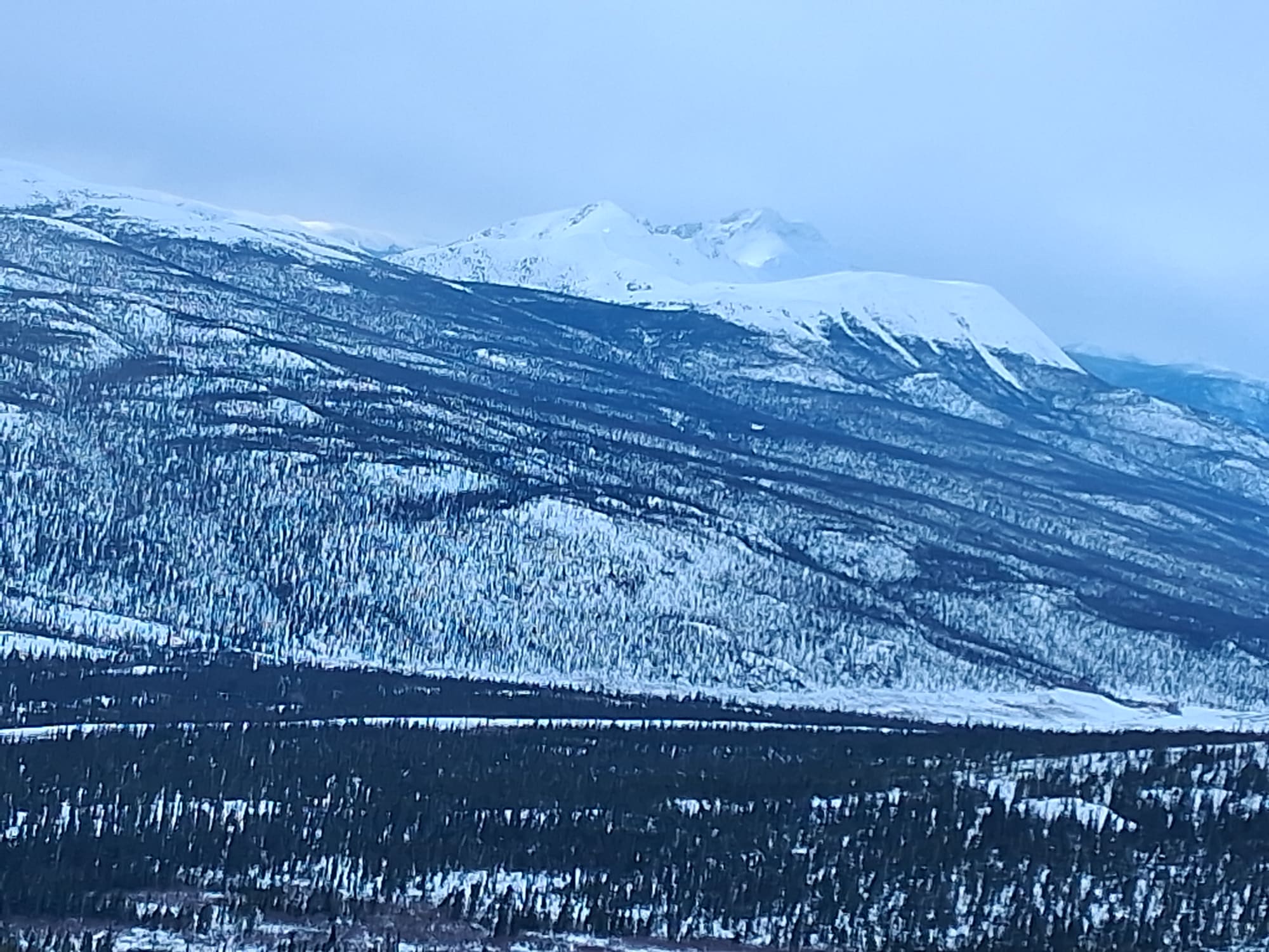 Observation photo