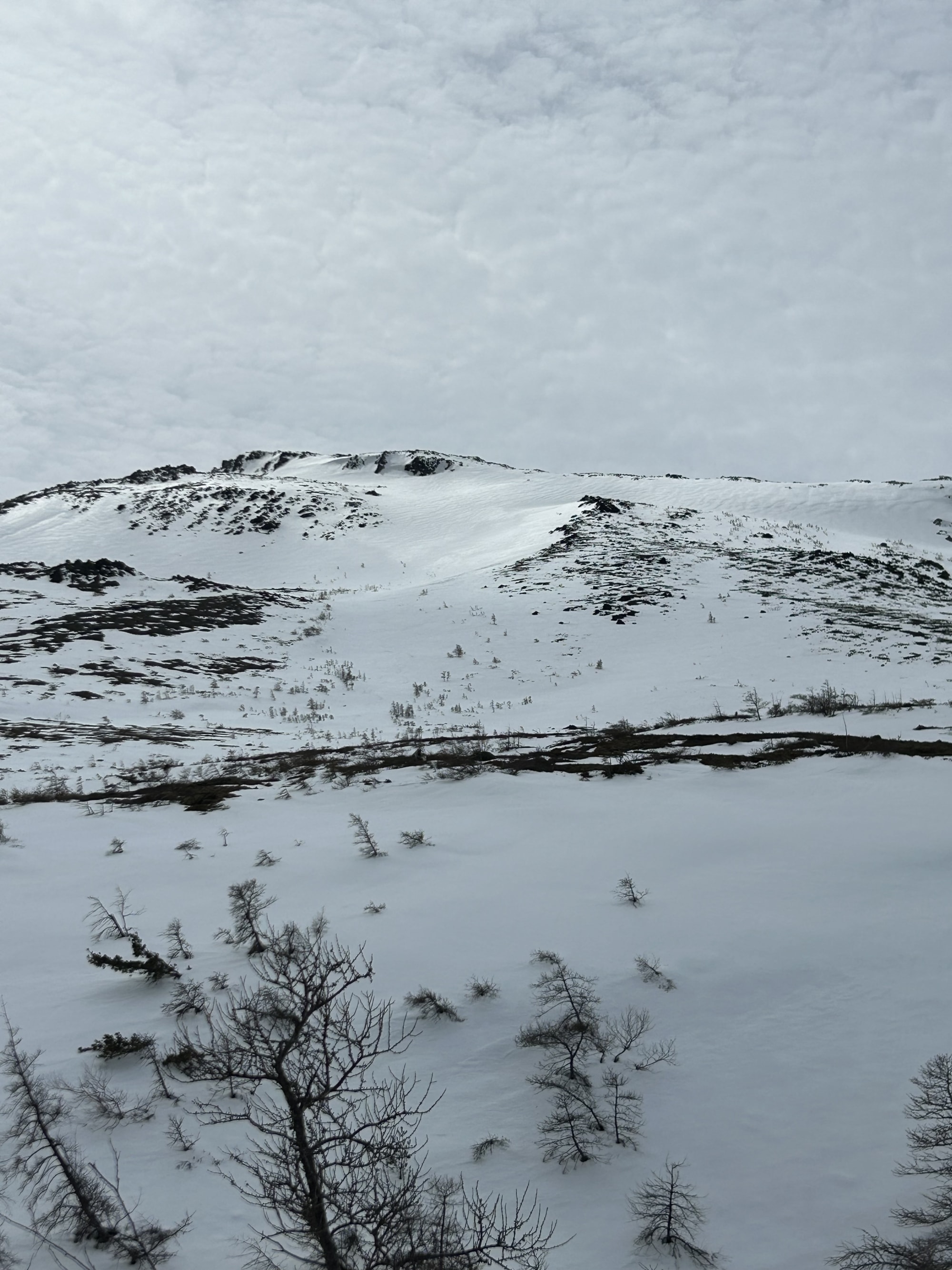 Observation photo