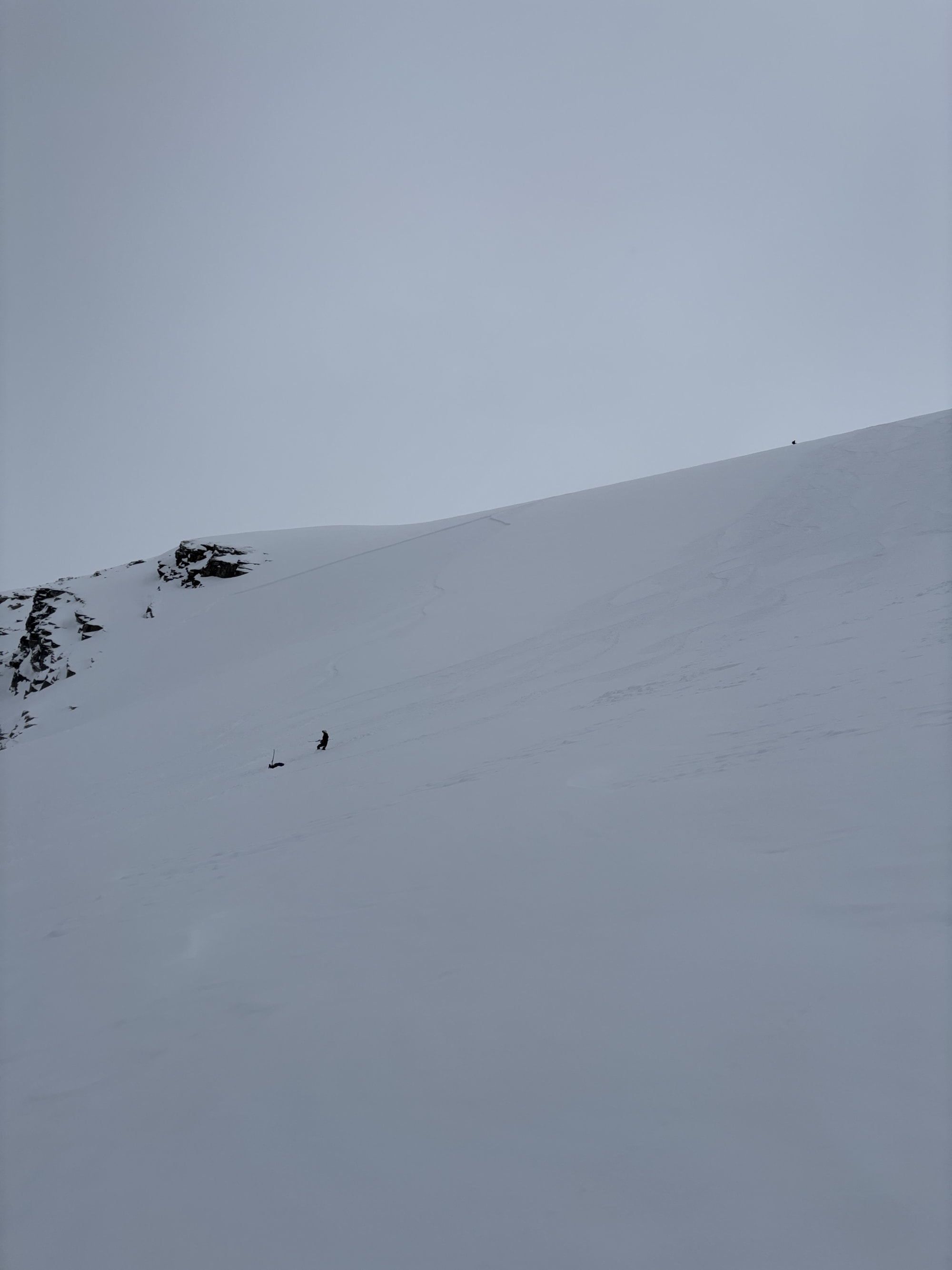 Observation photo