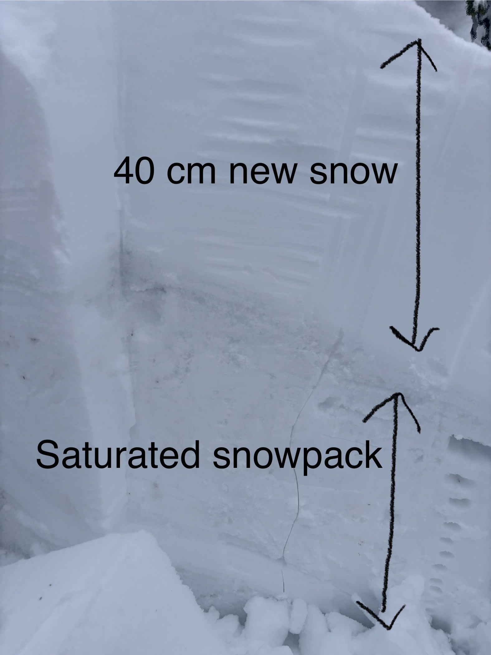 Observation photo