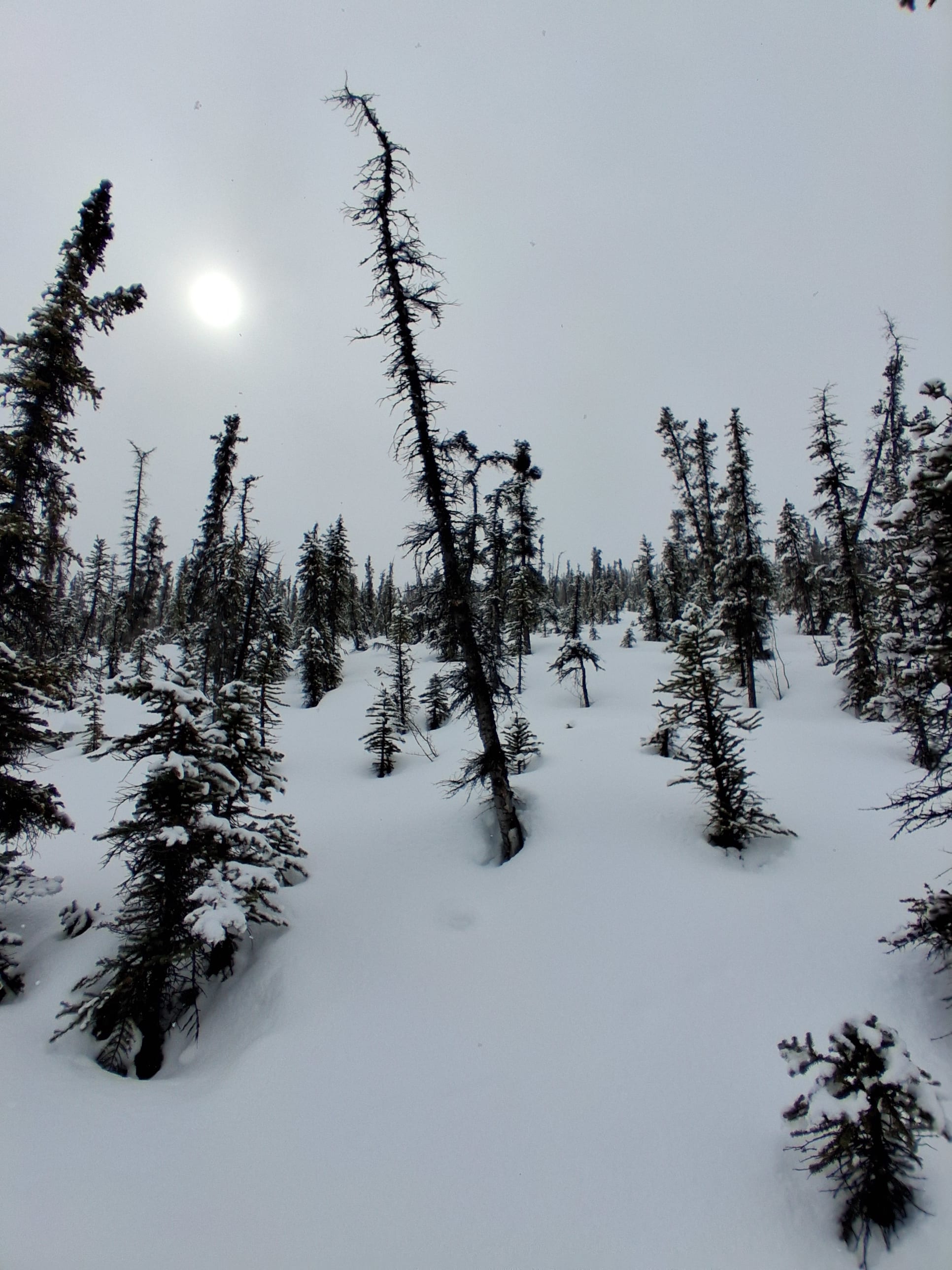 Observation photo