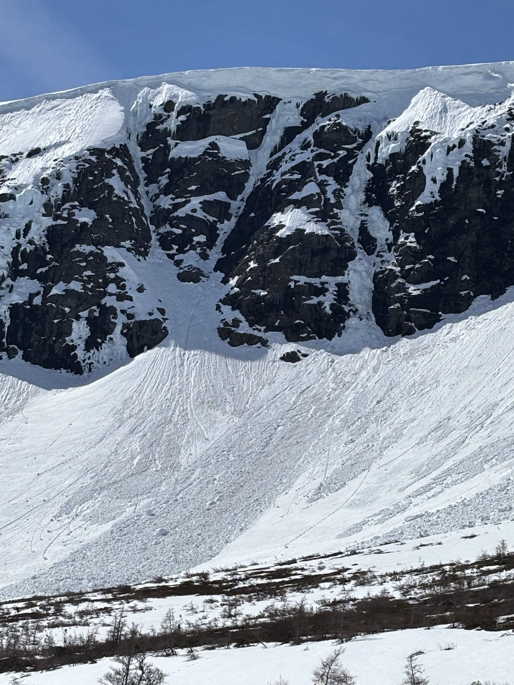 Observation photo