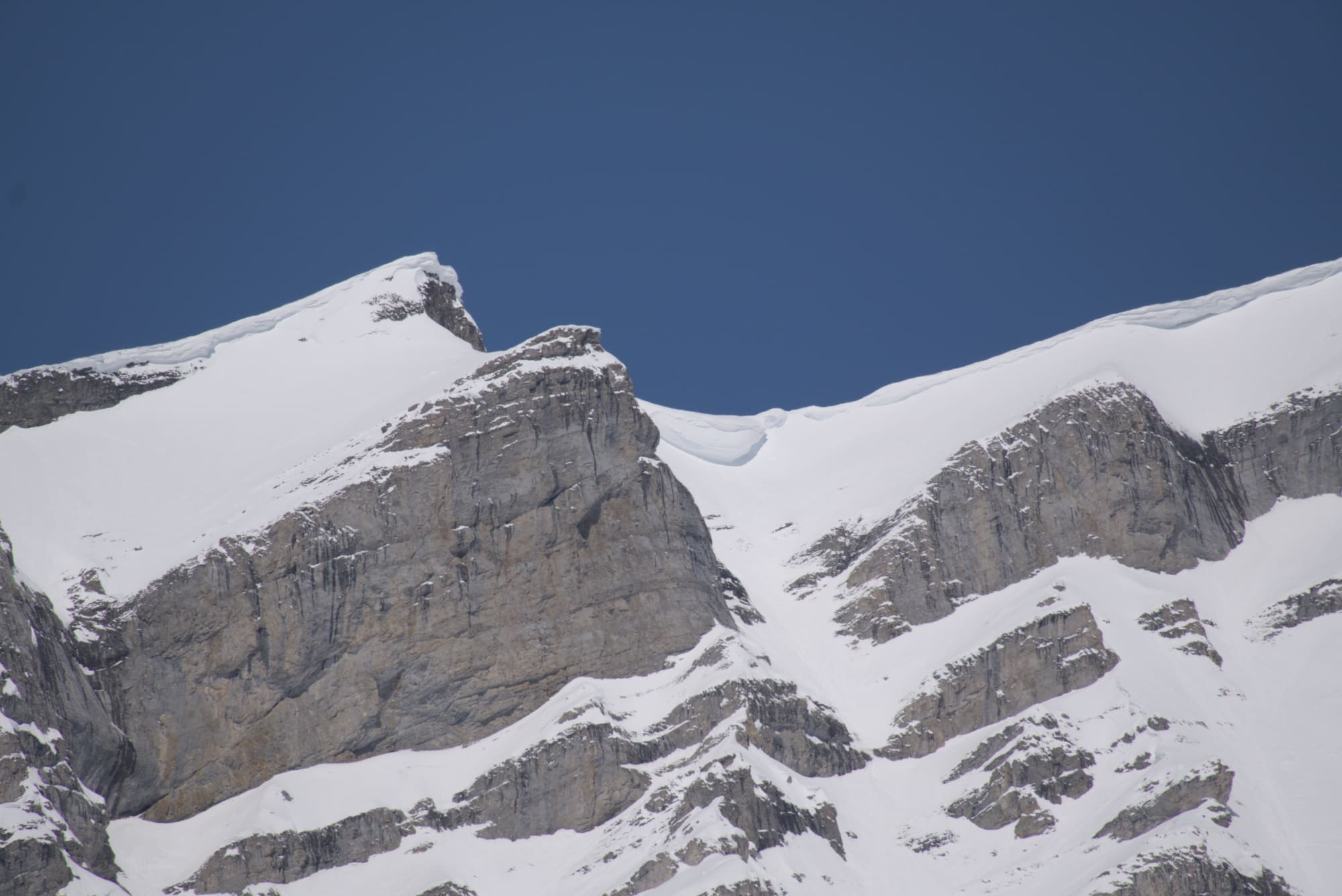 Observation photo
