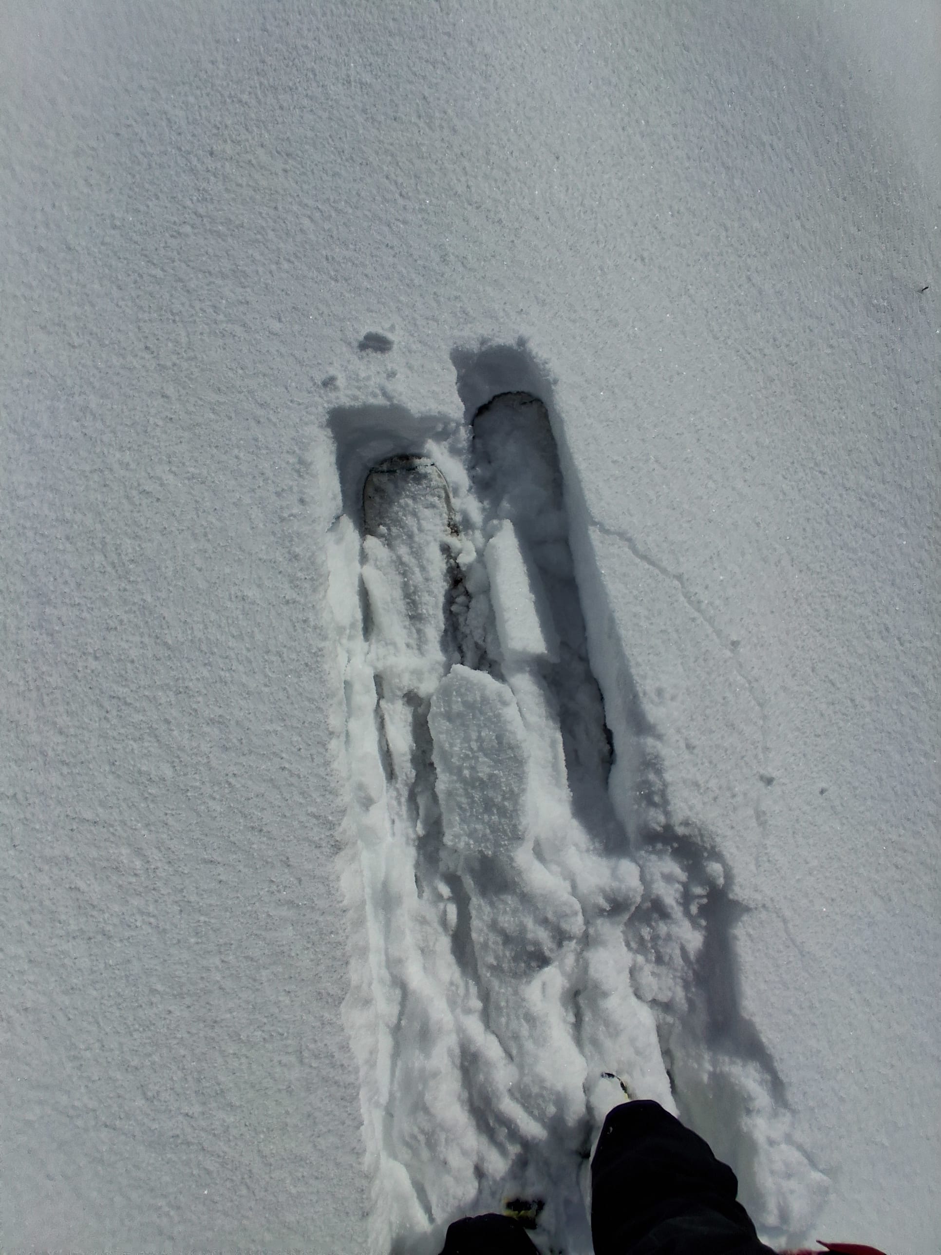 Observation photo